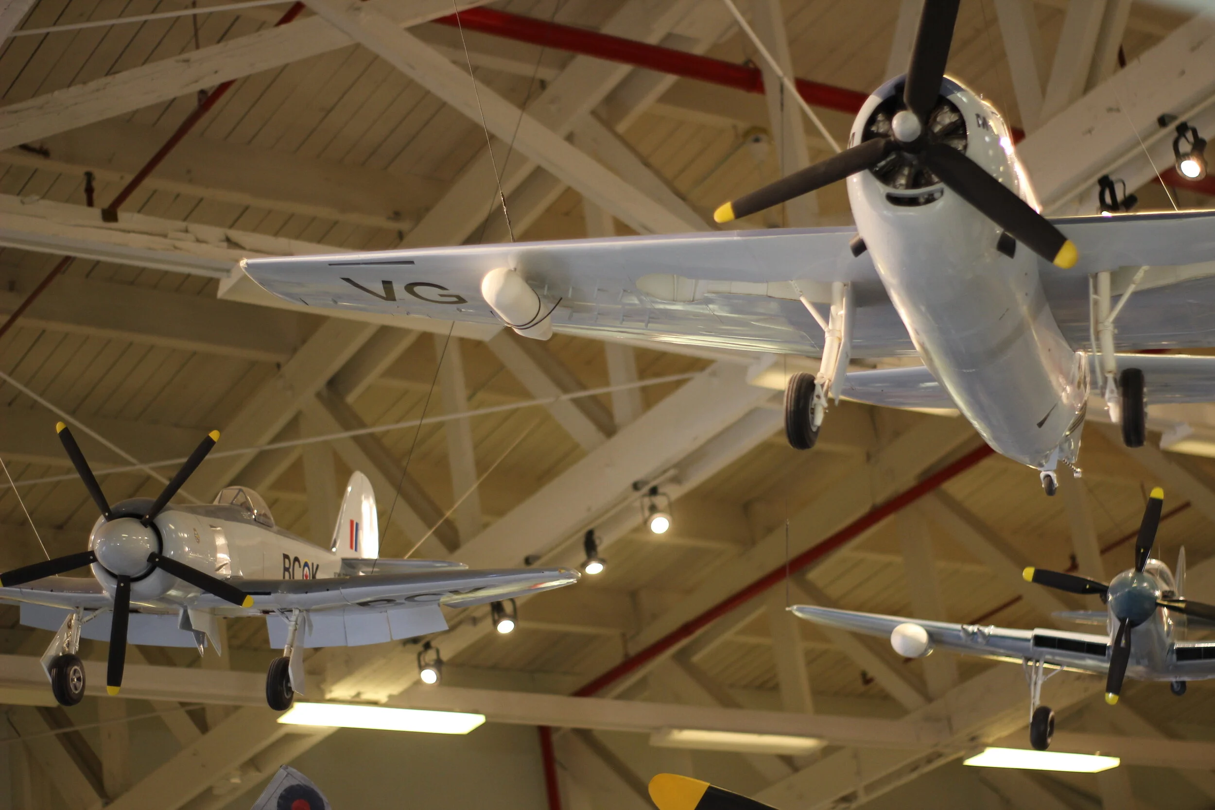 Copy of IMG_5666.JPG