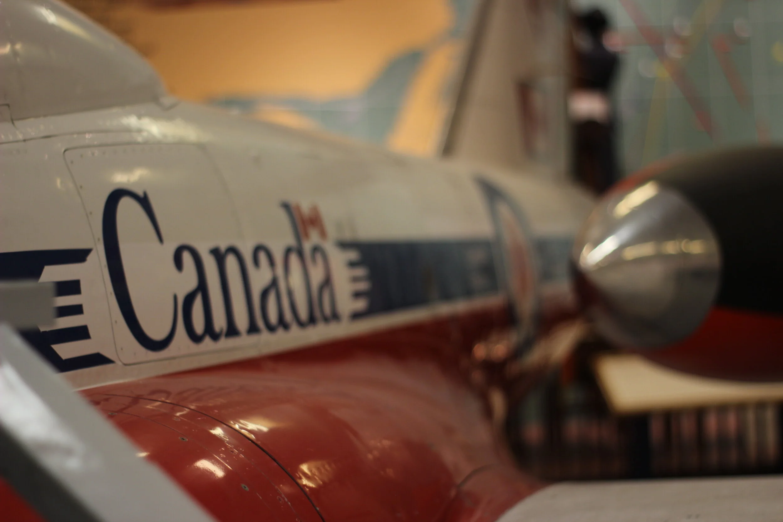 Copy of IMG_5685.JPG