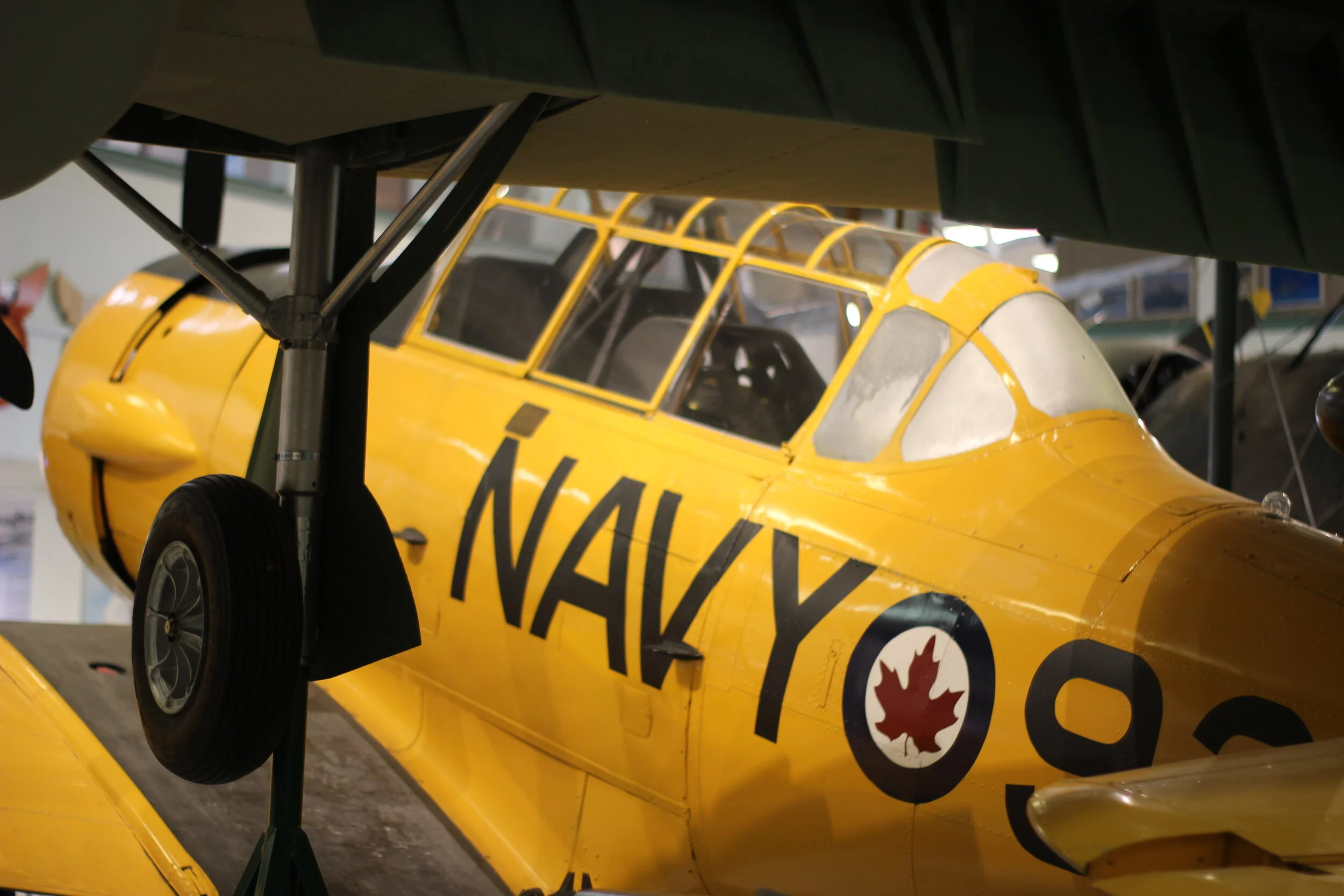 Copy of IMG_5718.JPG