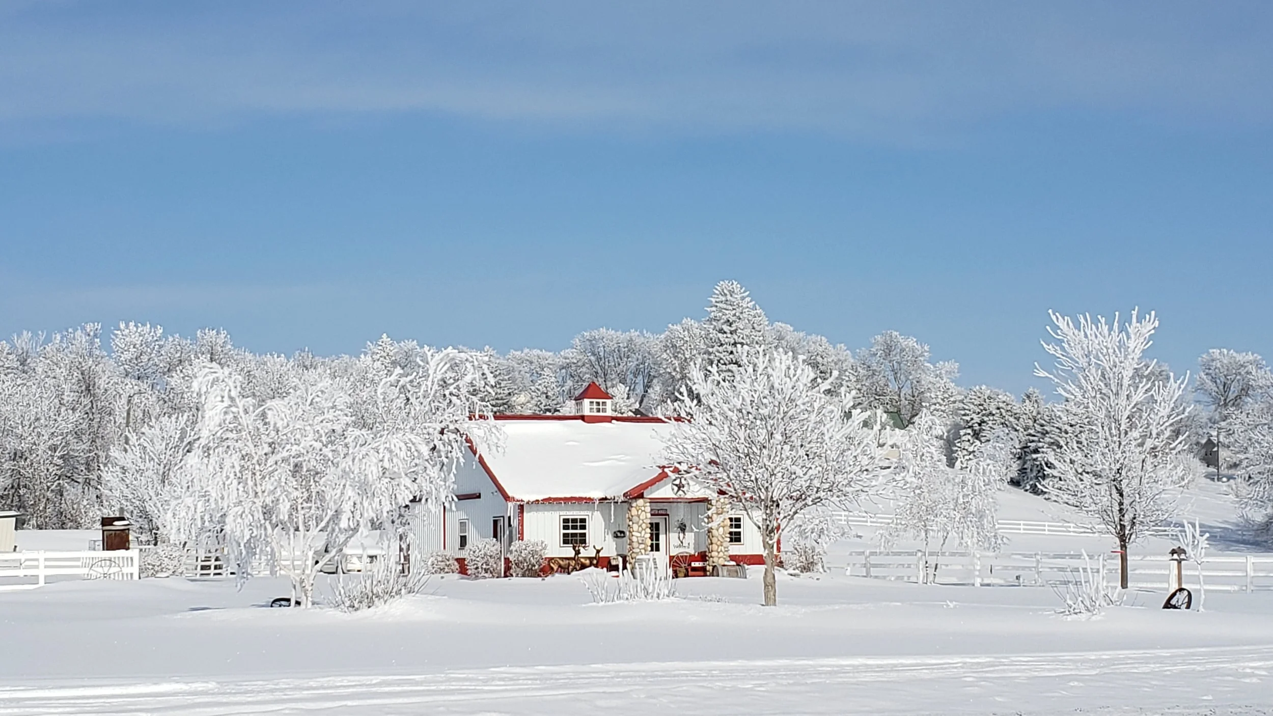 A winter scene with snow on the ground and hoar frost on the trees