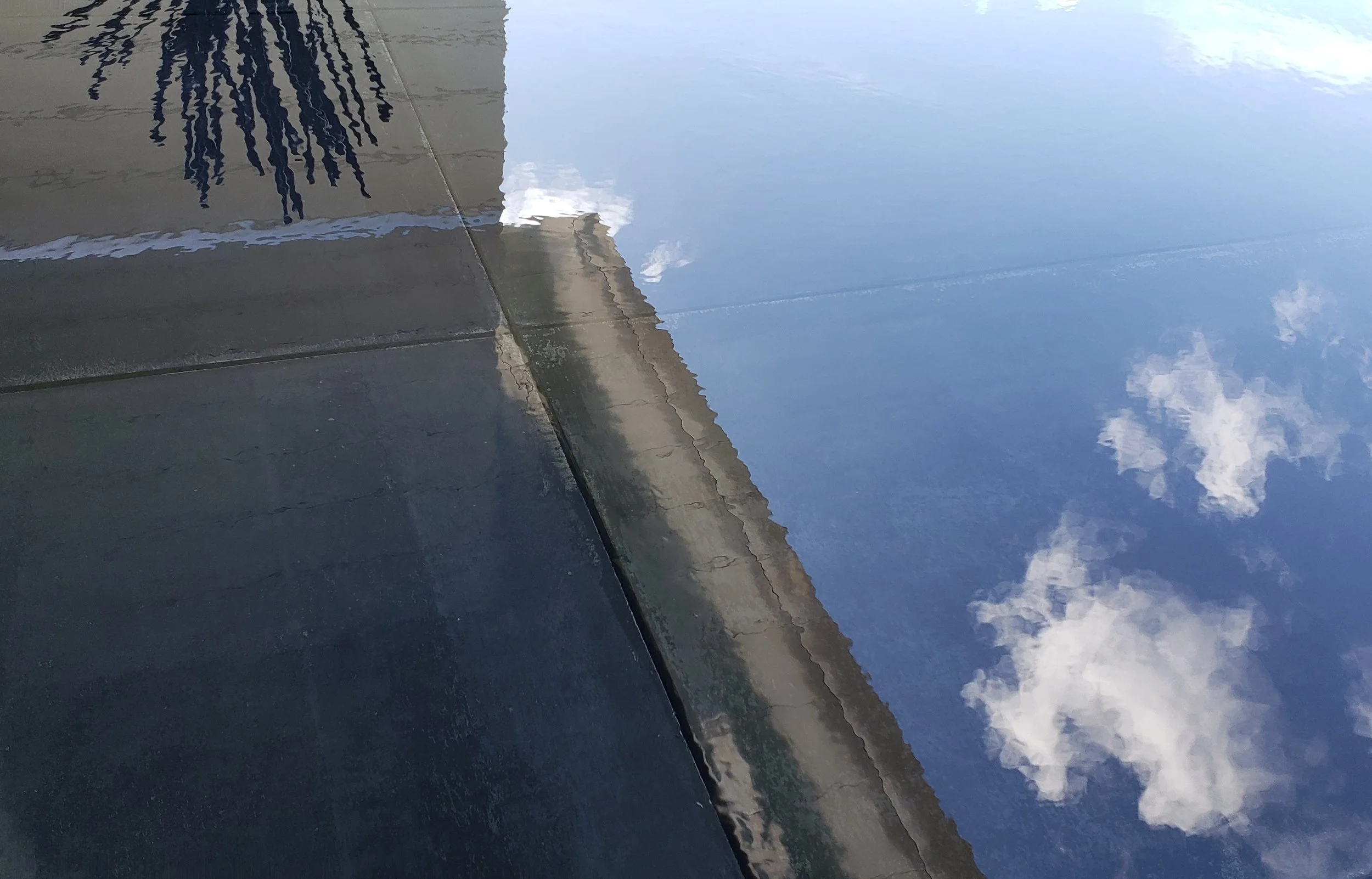 Florida Reflections.jpg