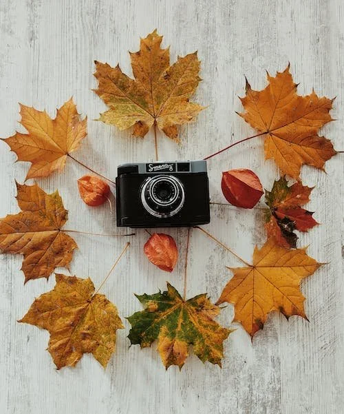 A camera is shown circled by autumn leaves