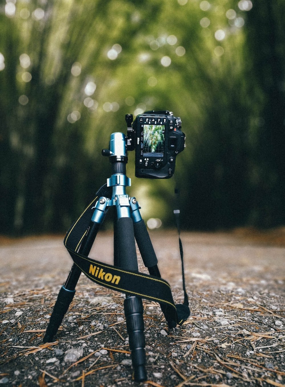 Camera on tripod
