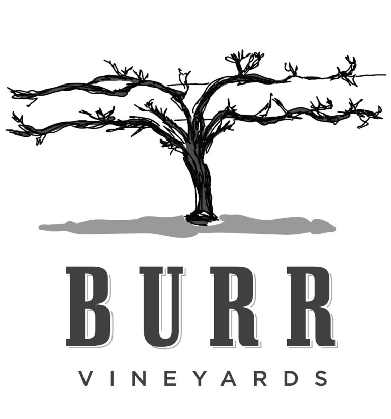 Logo for Burr Vineyards is shown. - a grapevine with the words Burr Vineyard in black