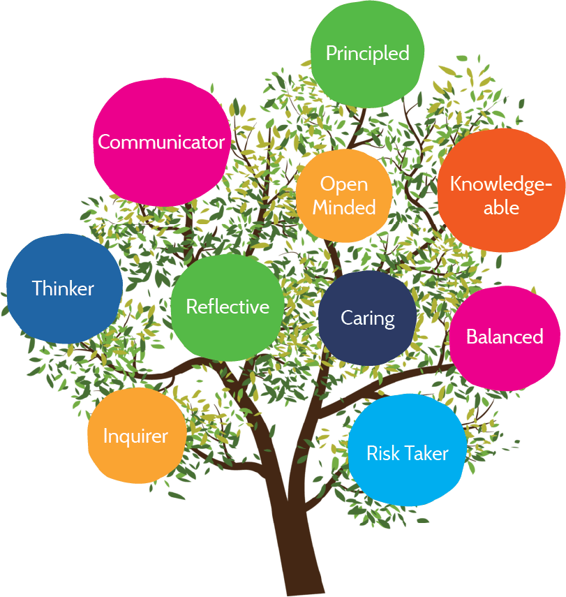 What is IB?