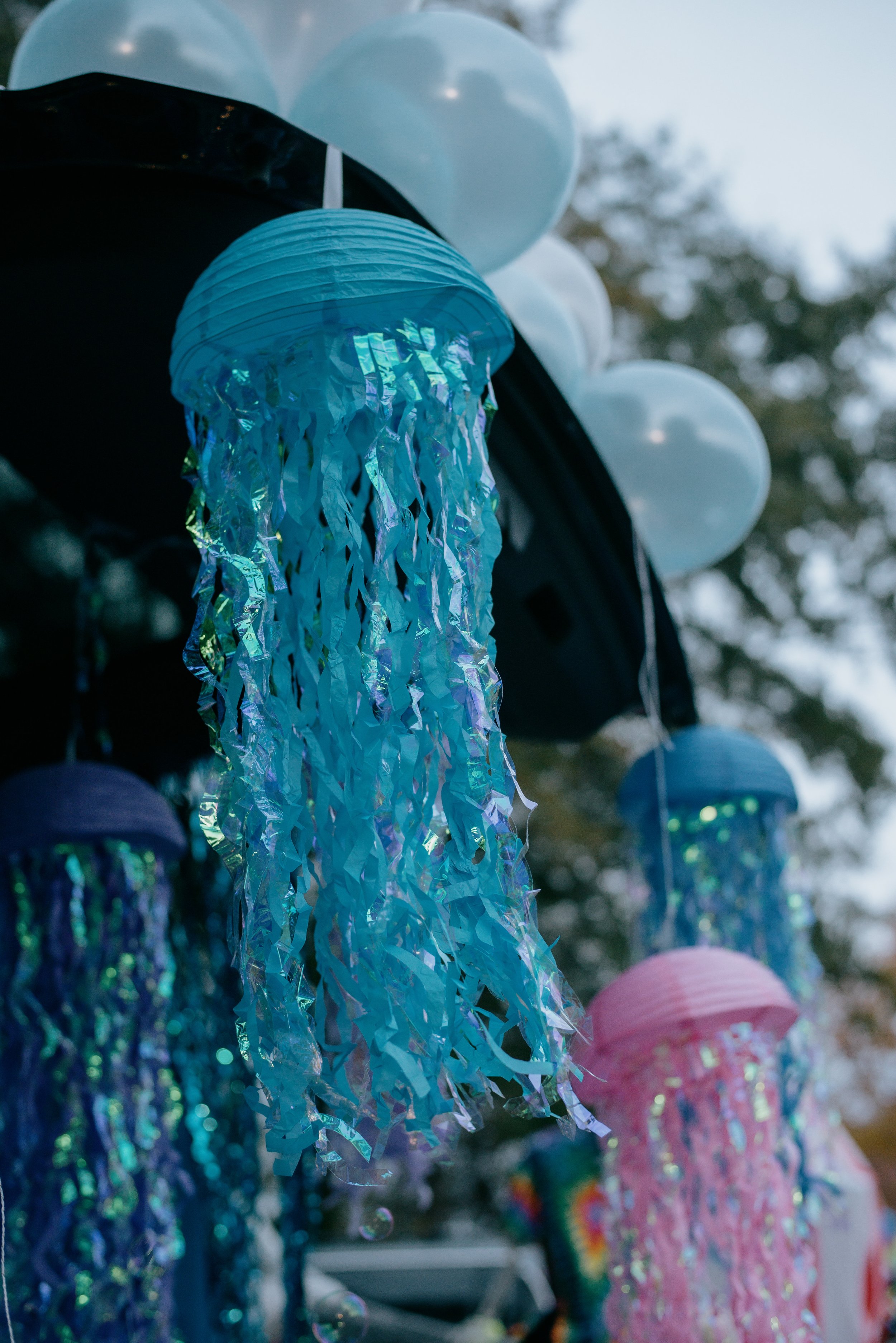 _DSC9090.jpg