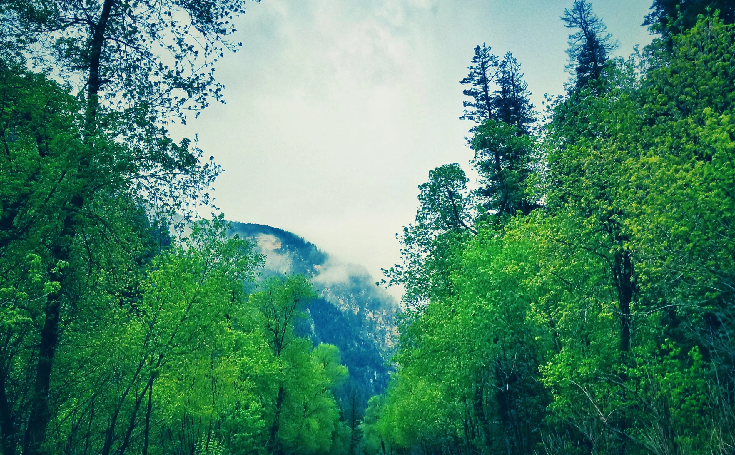 About AHC — Association for Humanistic Counseling
