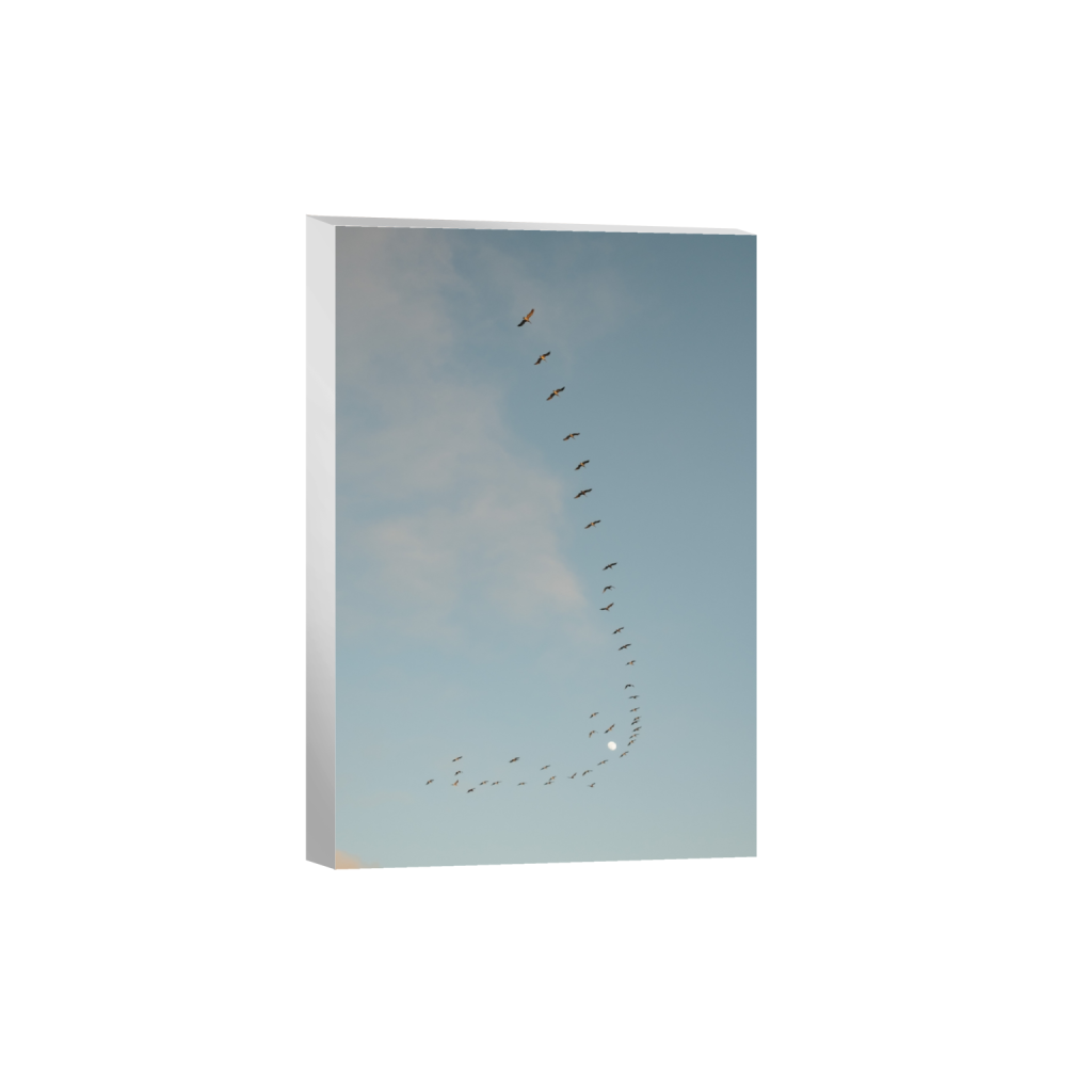 canvas_rectangle2_3_313_0_3128_4692_0_false_ffffff_0_0.png
