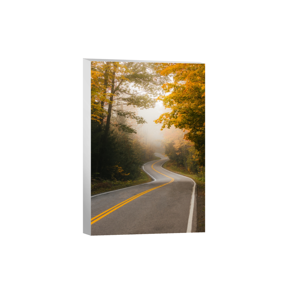 canvas_rectangle2_3_333_0_3333_5000_0_false_ffffff_0_0.png