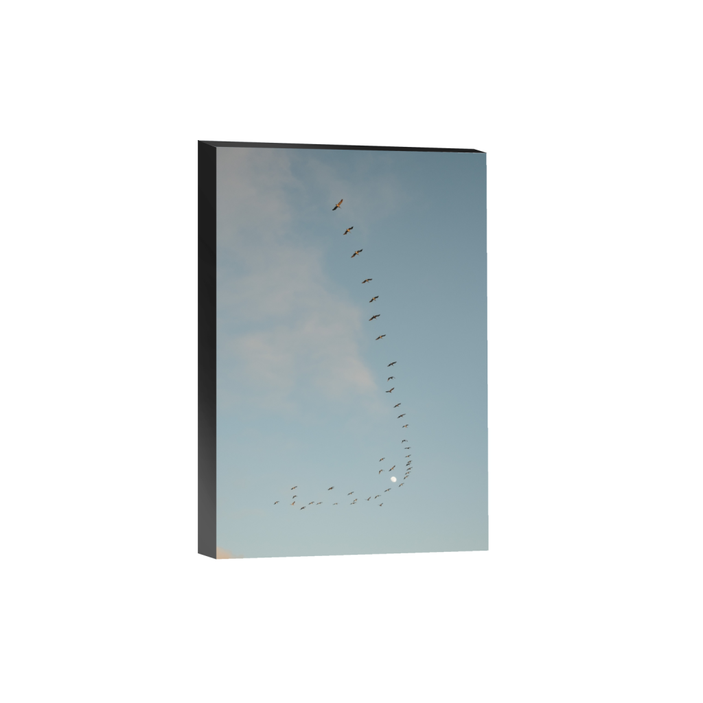 standout_rectangle2_3_313_0_3128_4692_0_false_ffffff_0_0.png