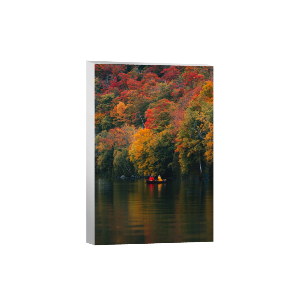 canvas_rectangle2_3_1_0_4149_6224_0_false_ffffff_0_0.png