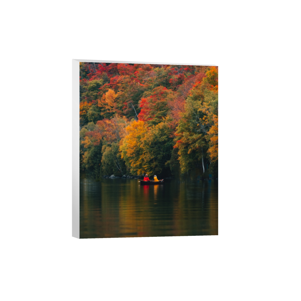 canvas_rectangle4_5_0_517_4152_5190_0_false_ffffff_0_0.png