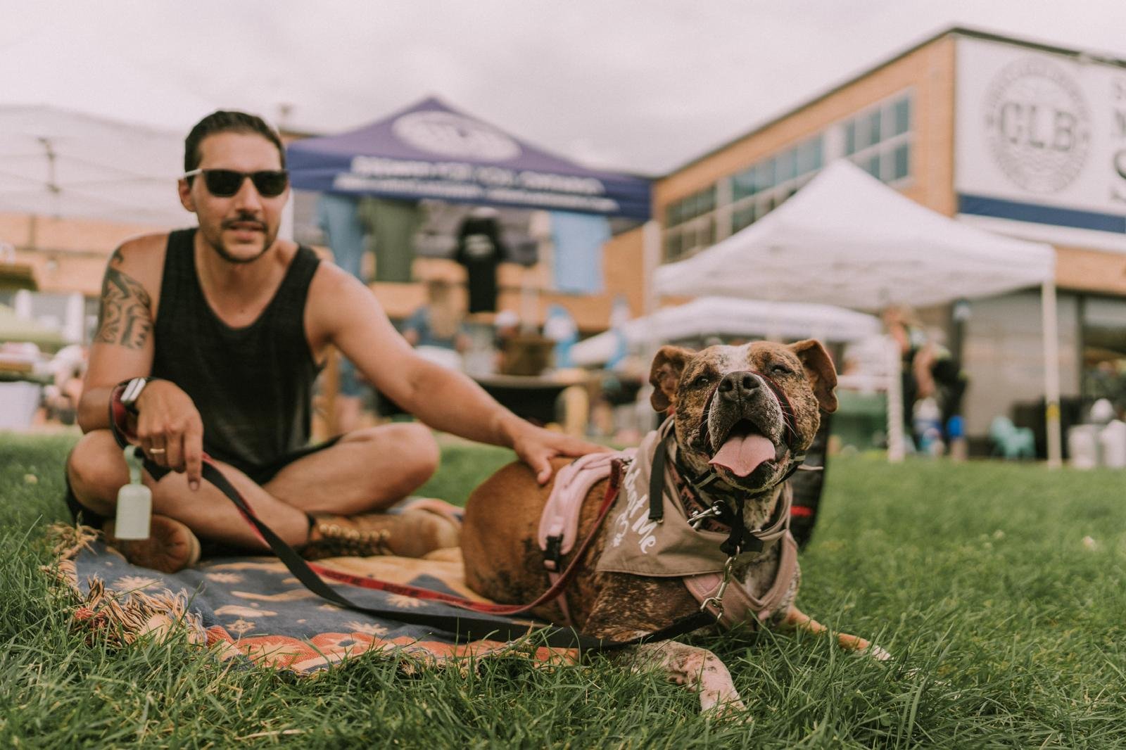 Barks + Brews