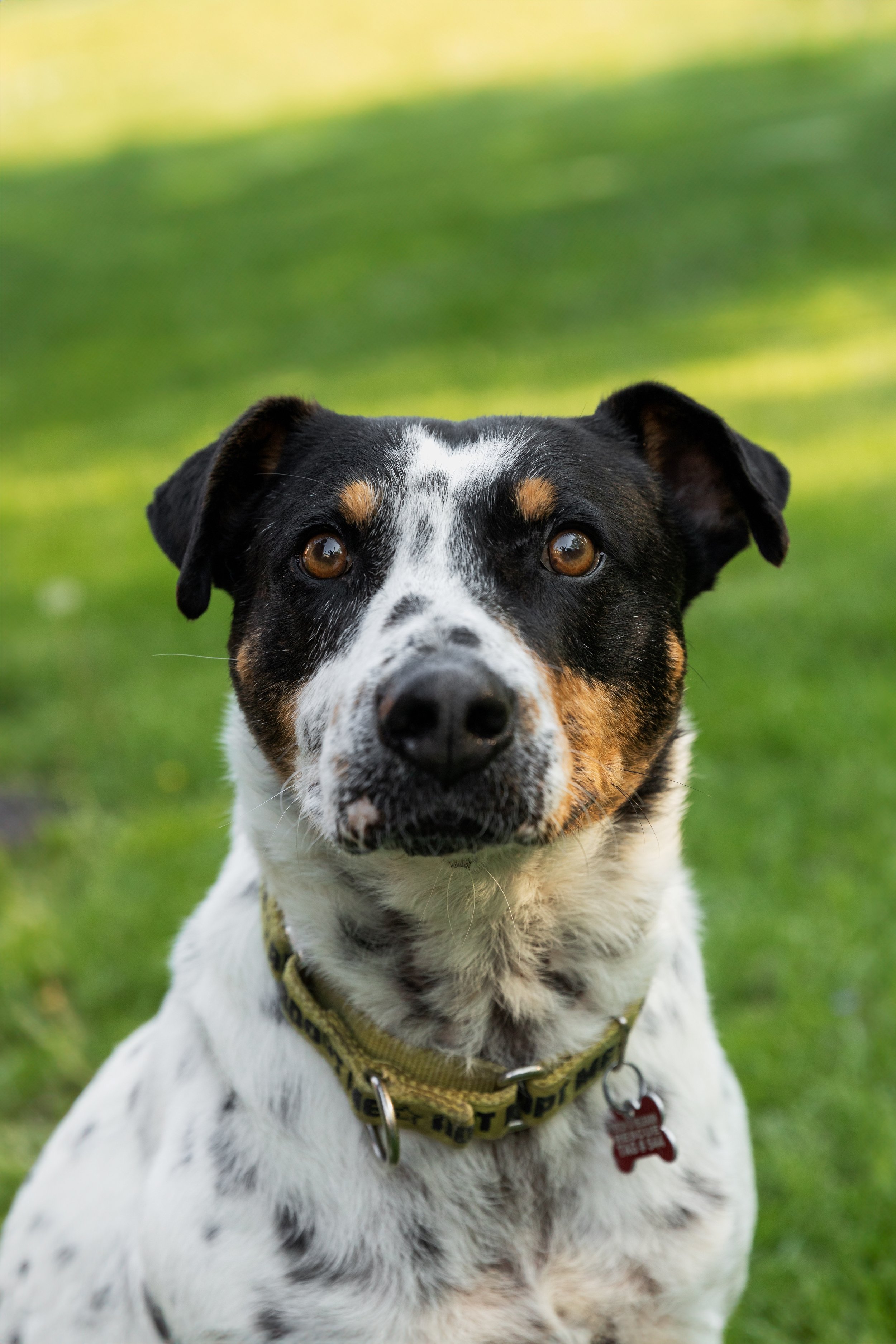 Kiko