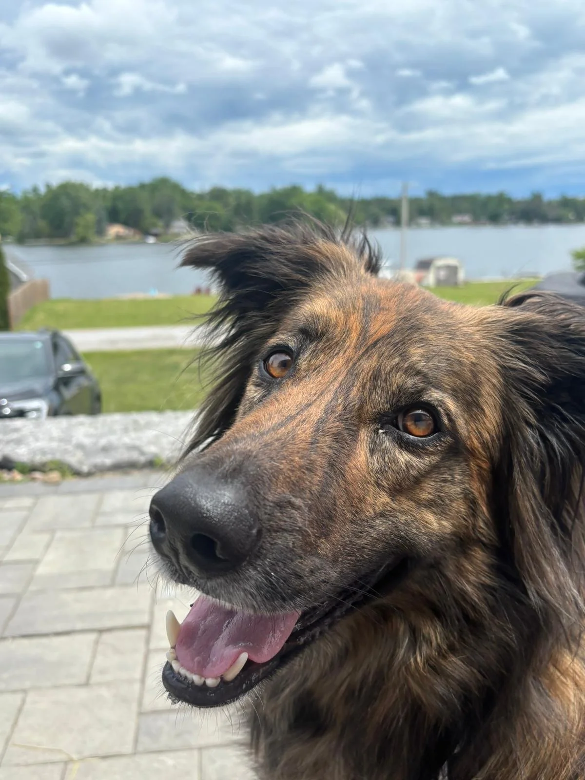 Cosmo