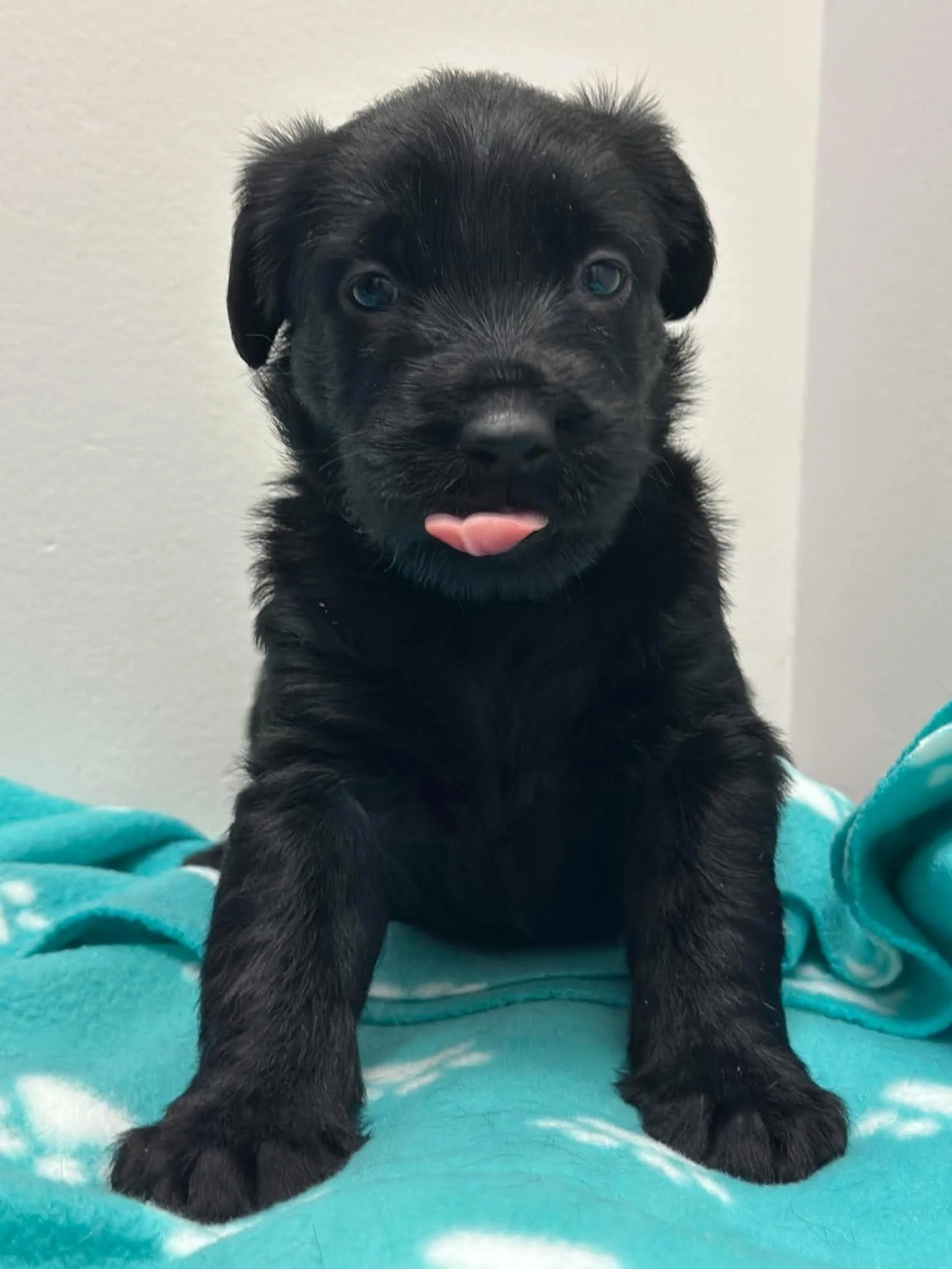 Matilda