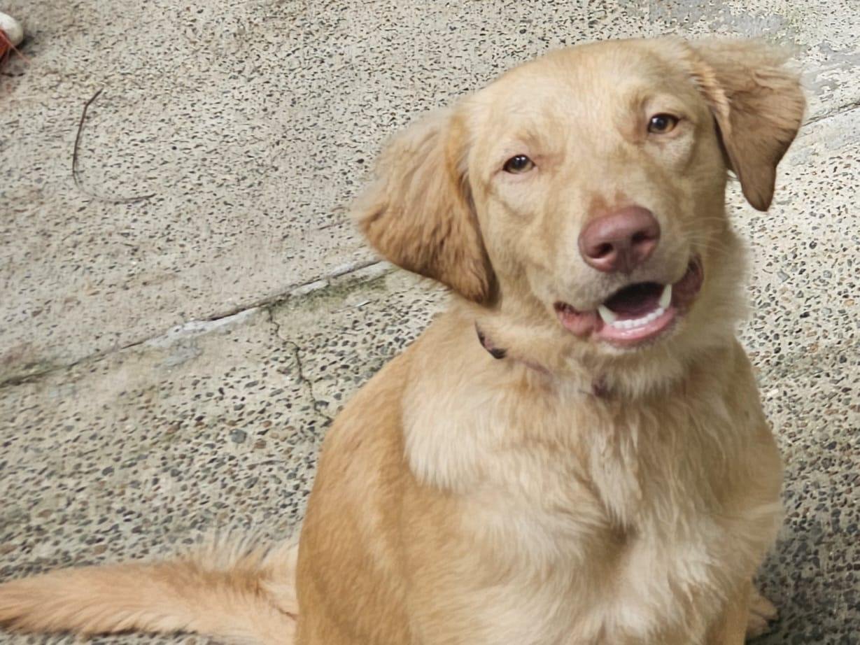 Elizabeth (Foster-to-Adopt)