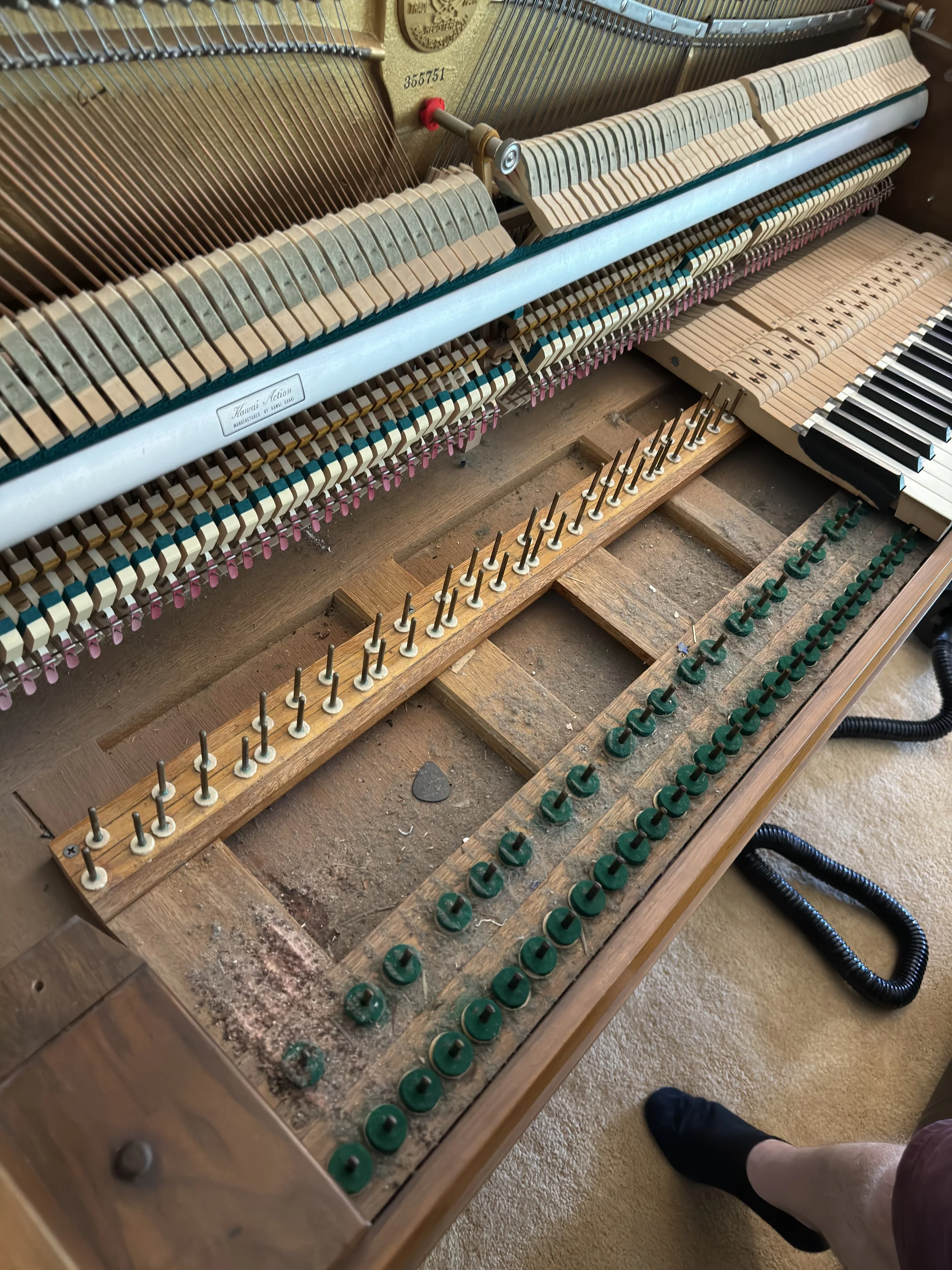 piano-action-regulation-tacoma.jpeg