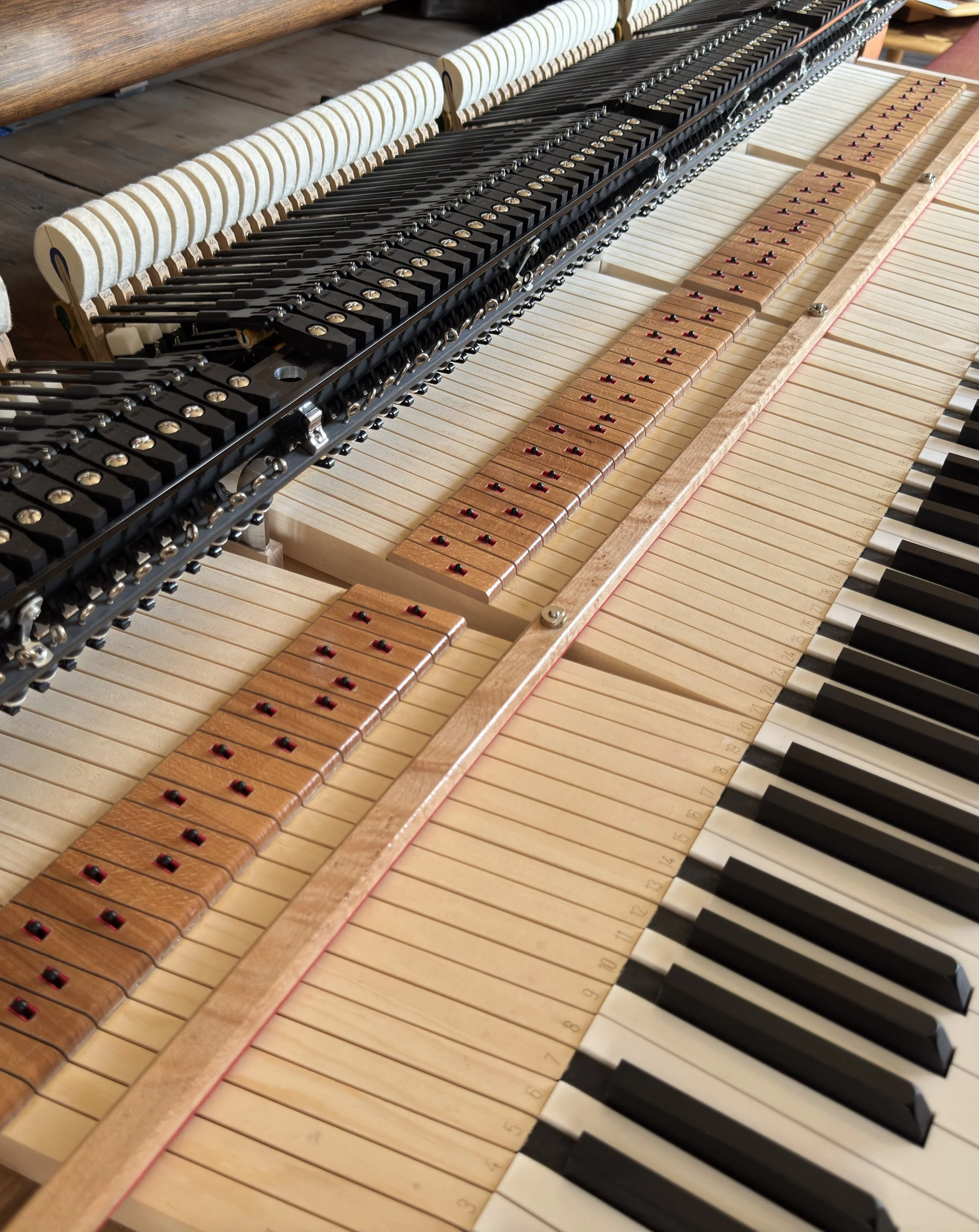 piano-action-regulation-gig-harbor.jpeg