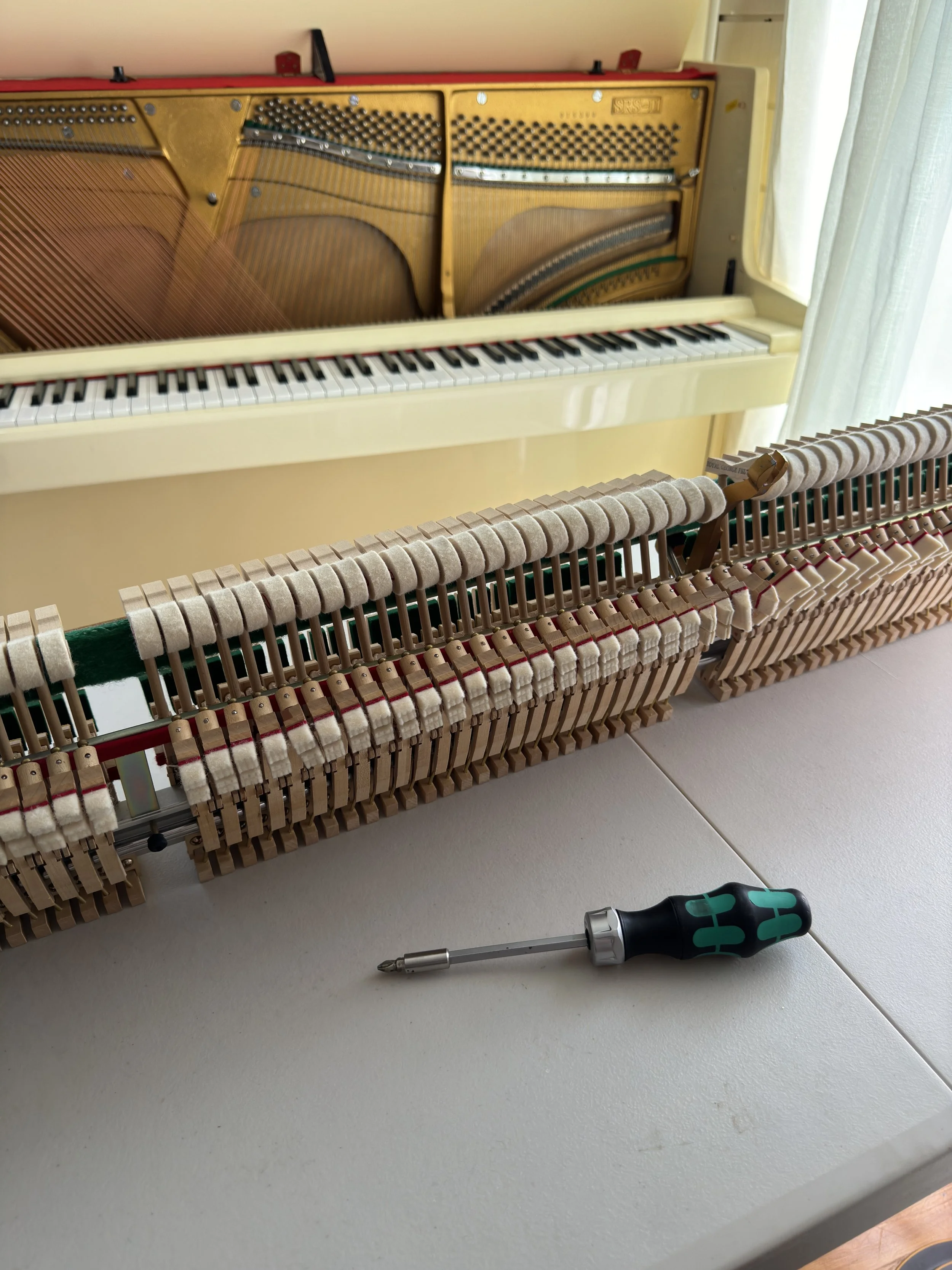 piano-tuner-tuning-orting-wa.jpeg