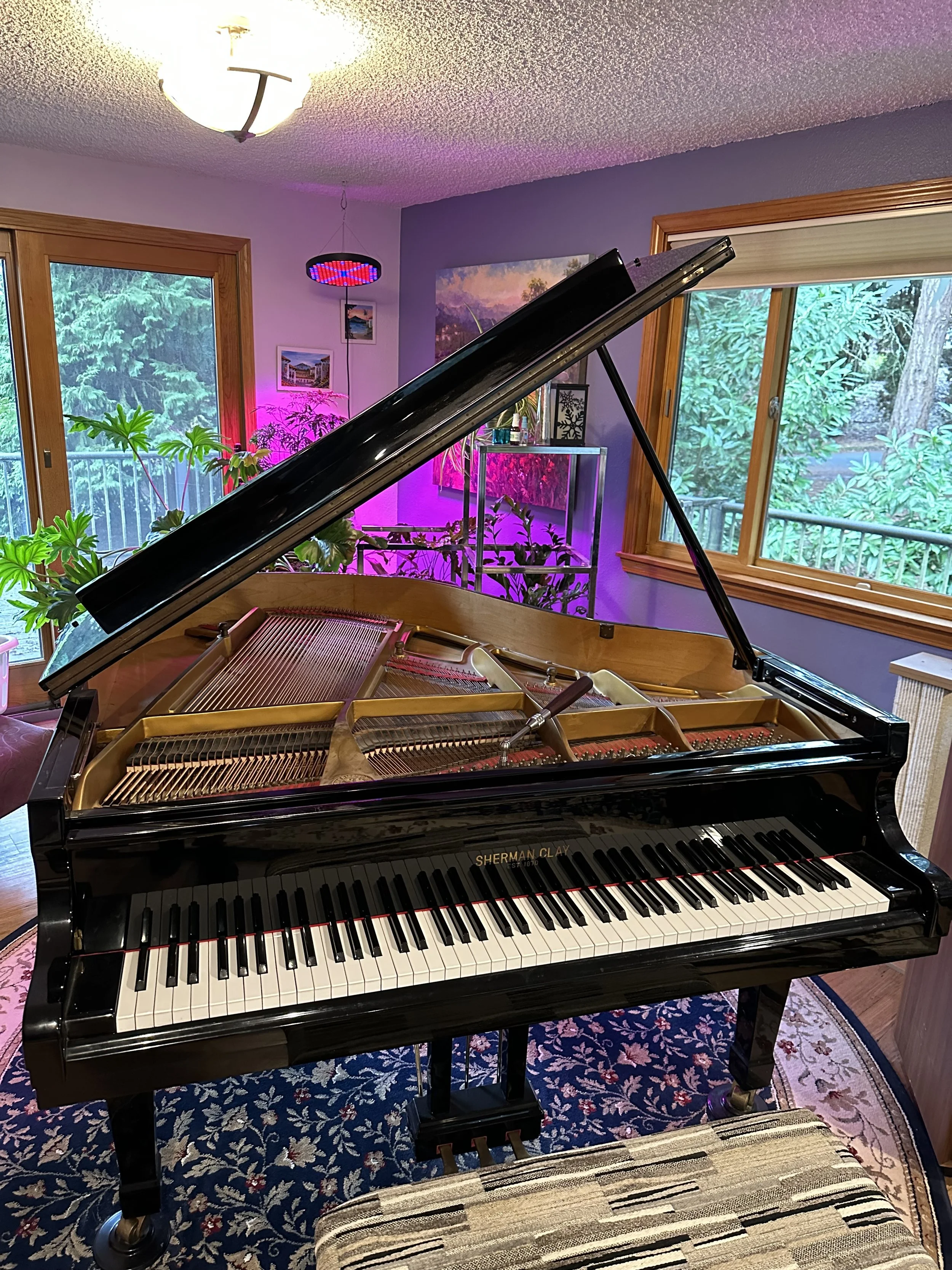piano-tuner-tuning-bonney-lake-wa.jpeg