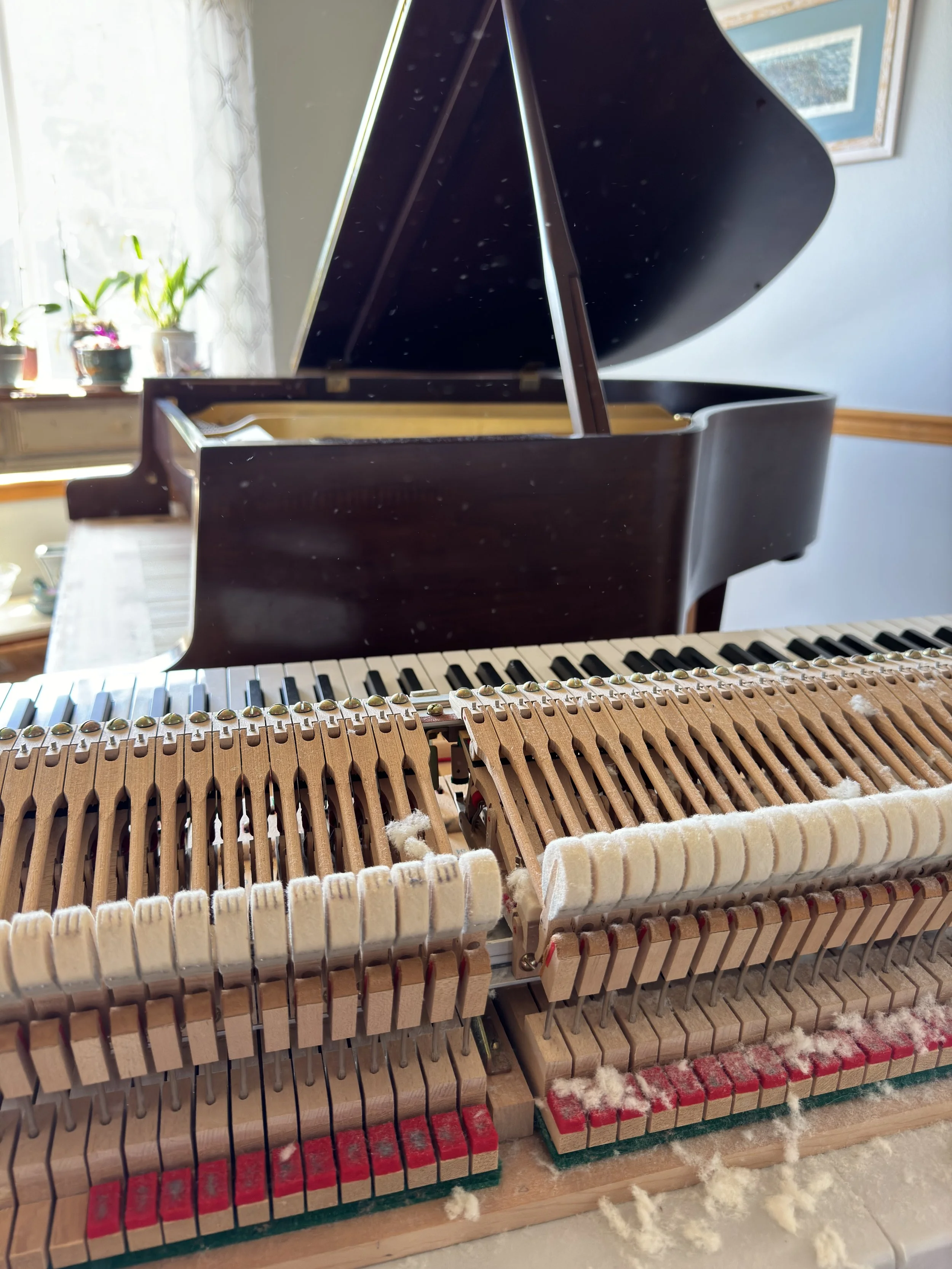 piano-voicing-gig-harbor-wa.jpeg