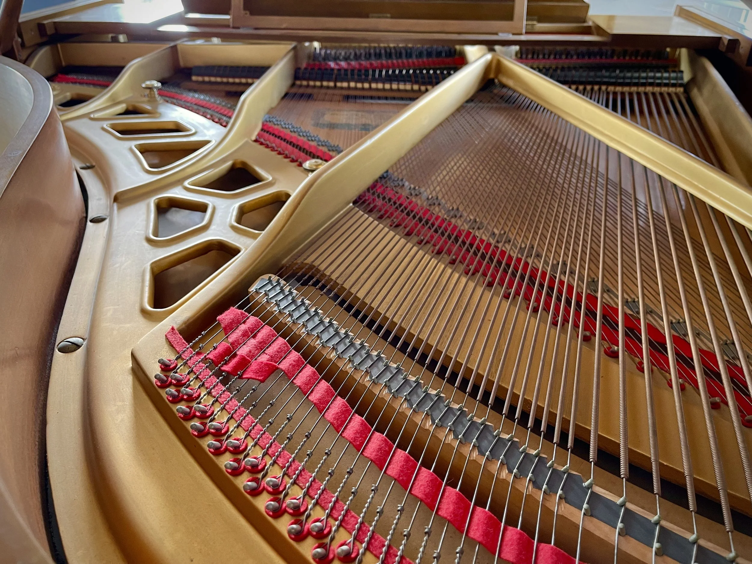 piano-tuner-tuning-frederickson-wa.jpeg