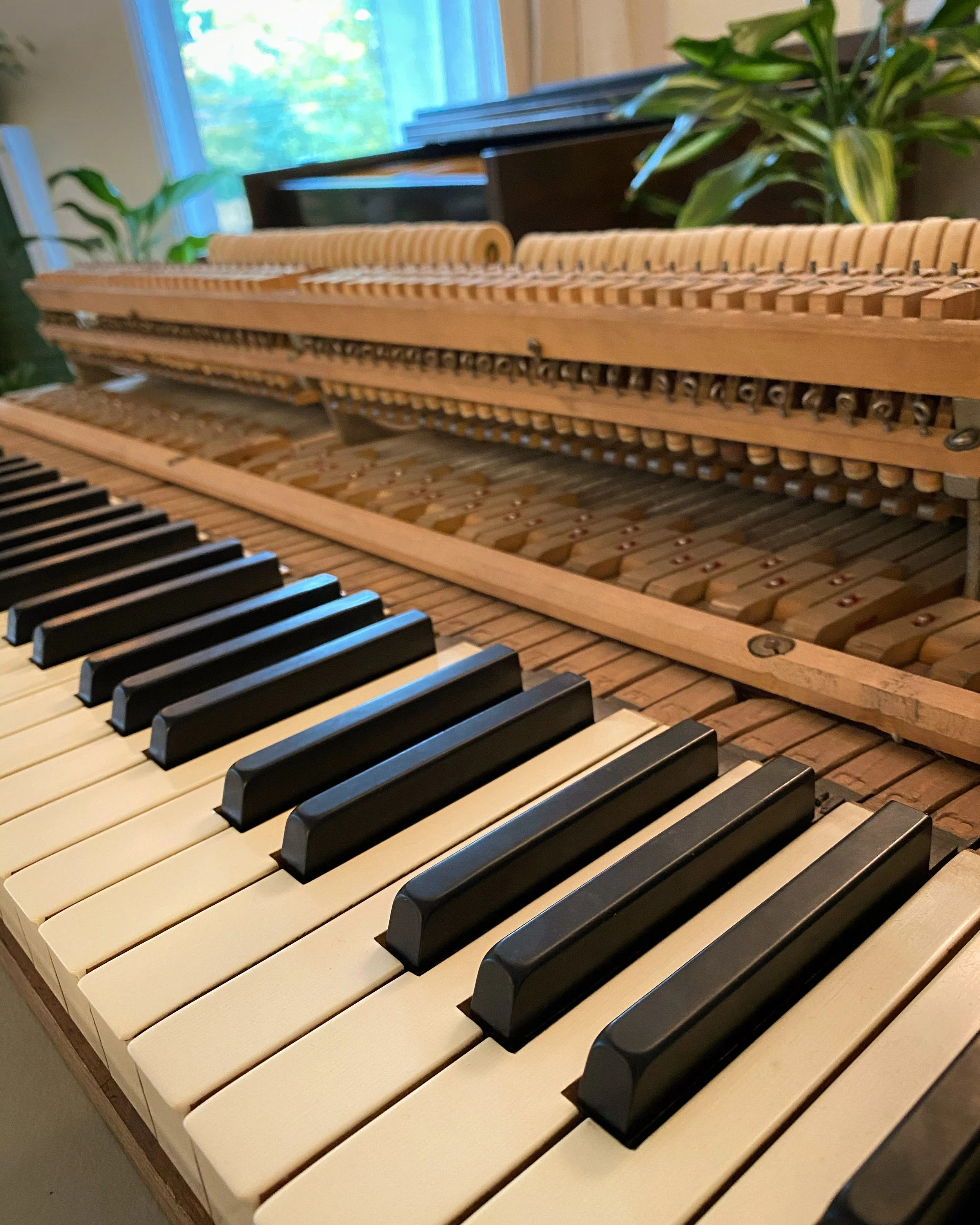 piano-tuner-tuning-covington-wa.jpg
