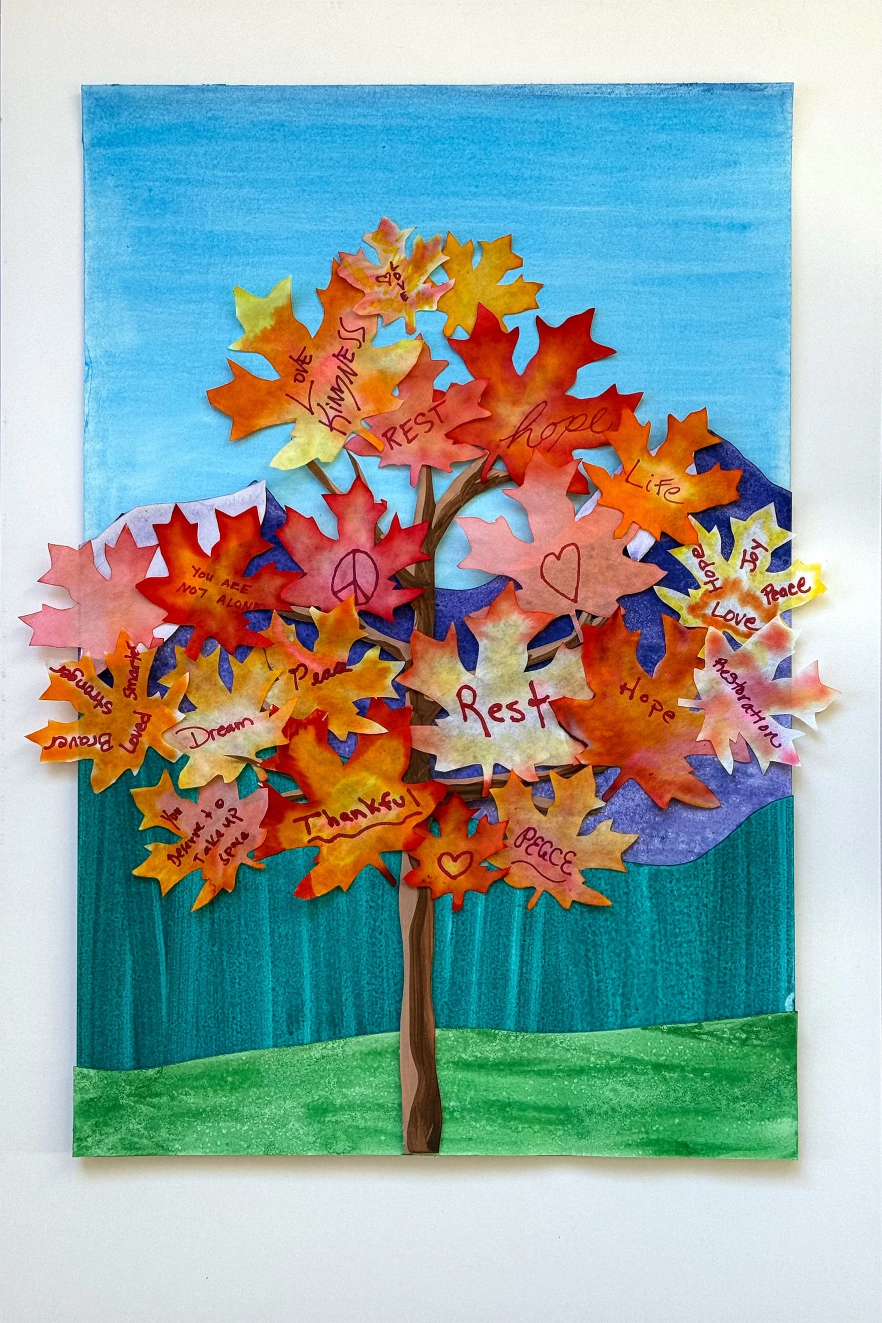 3 Autumn Maple.jpg