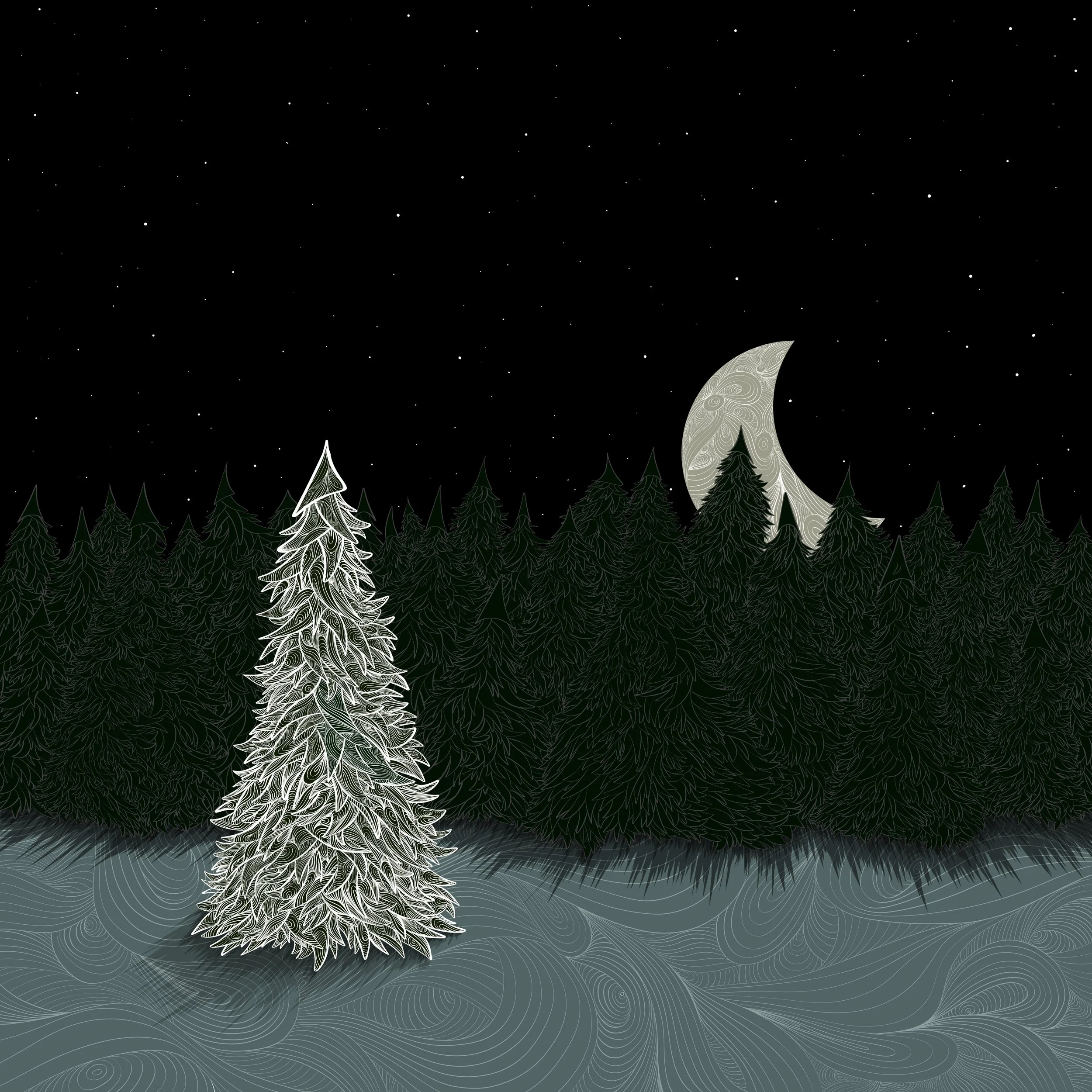 Untitled - February 9, 2026 19.31.48.JPG