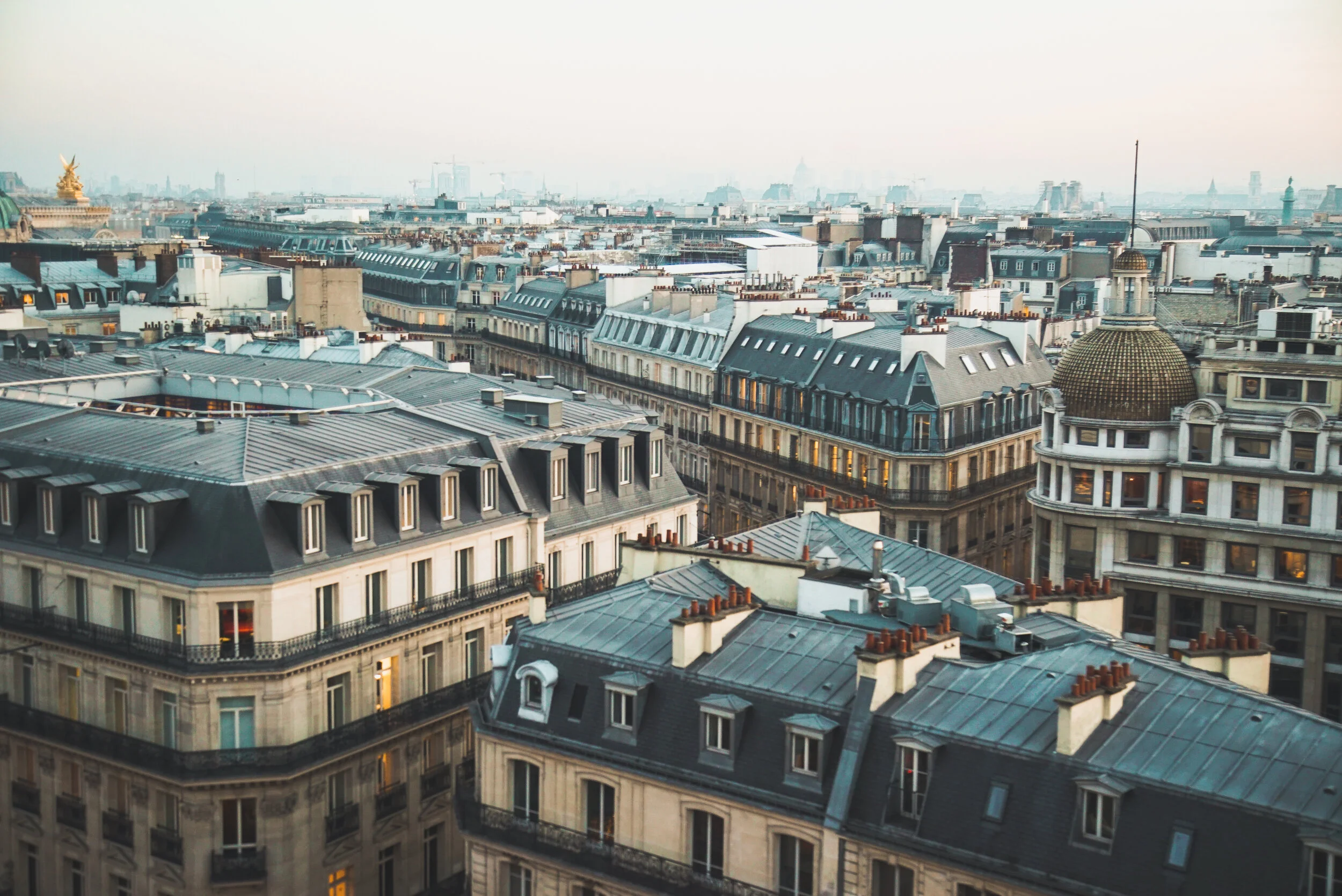 Paris Roof.jpg
