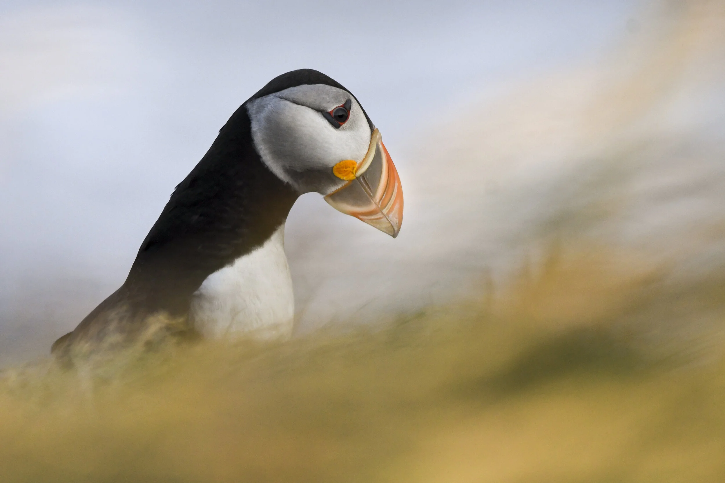 Iceland Photos-11.jpg