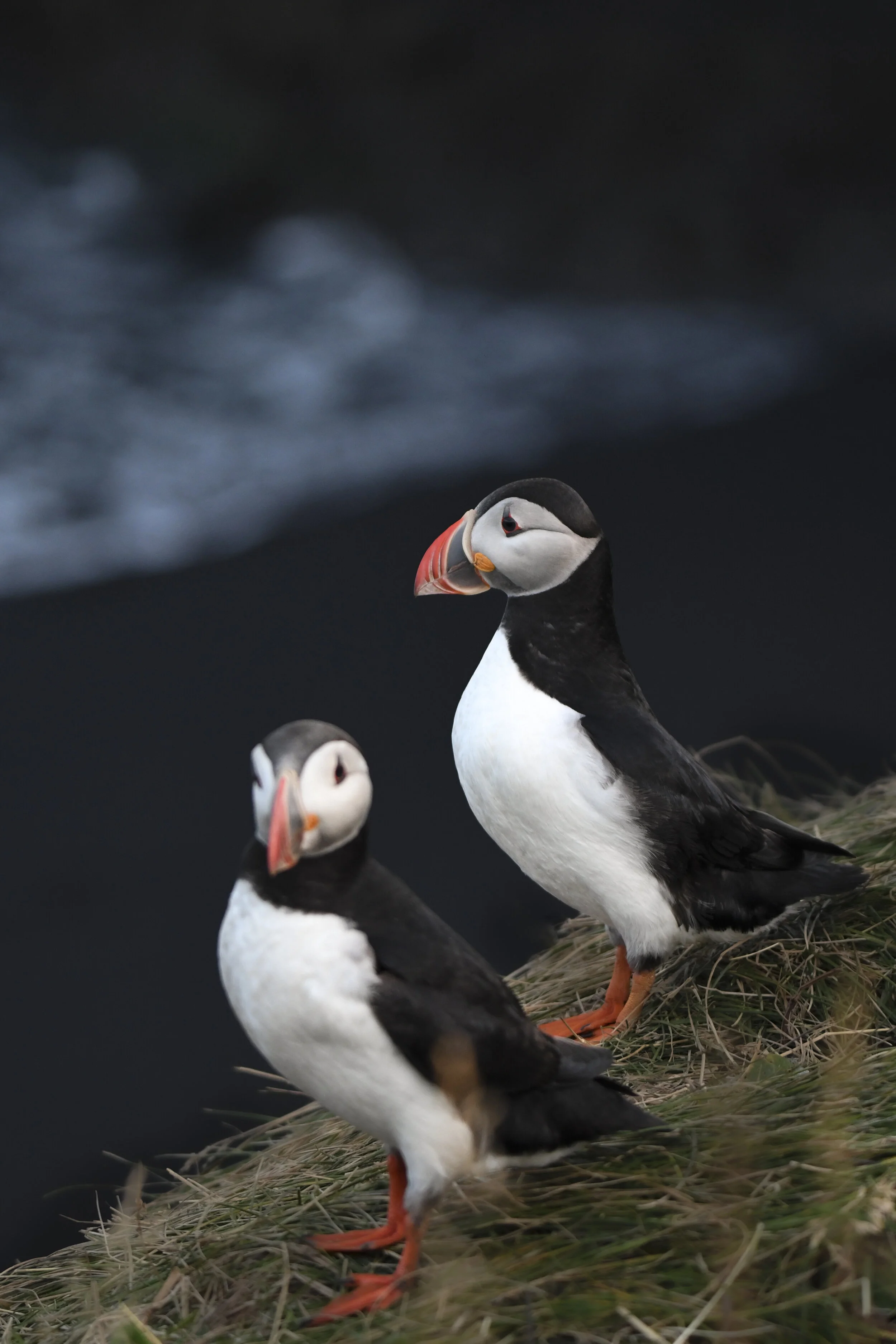 Iceland Photos-24.jpg