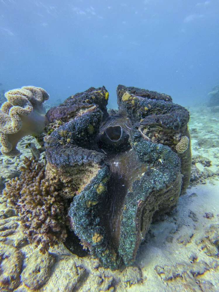 BarrierReef-6.jpg