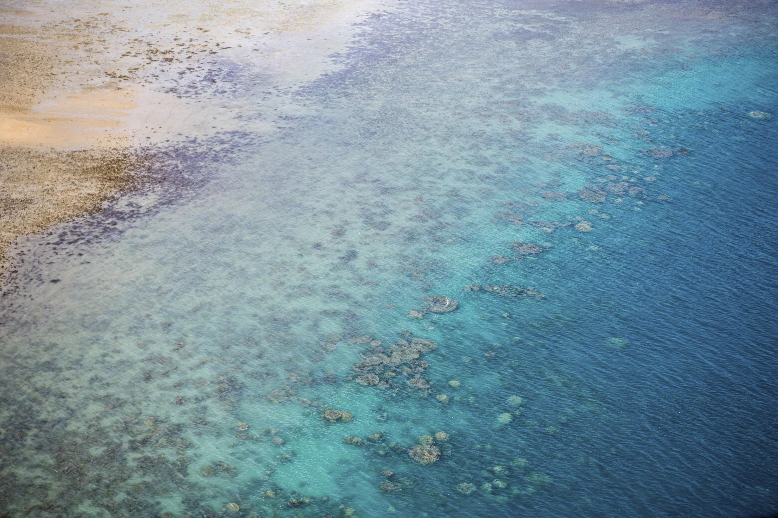 BarrierReef-5.jpg