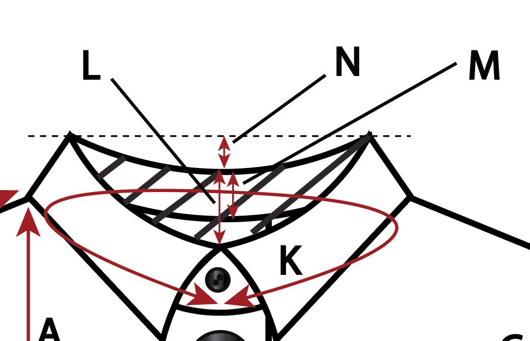 Screen Shot 2019-12-10 at 12.17.36 PM copy.png