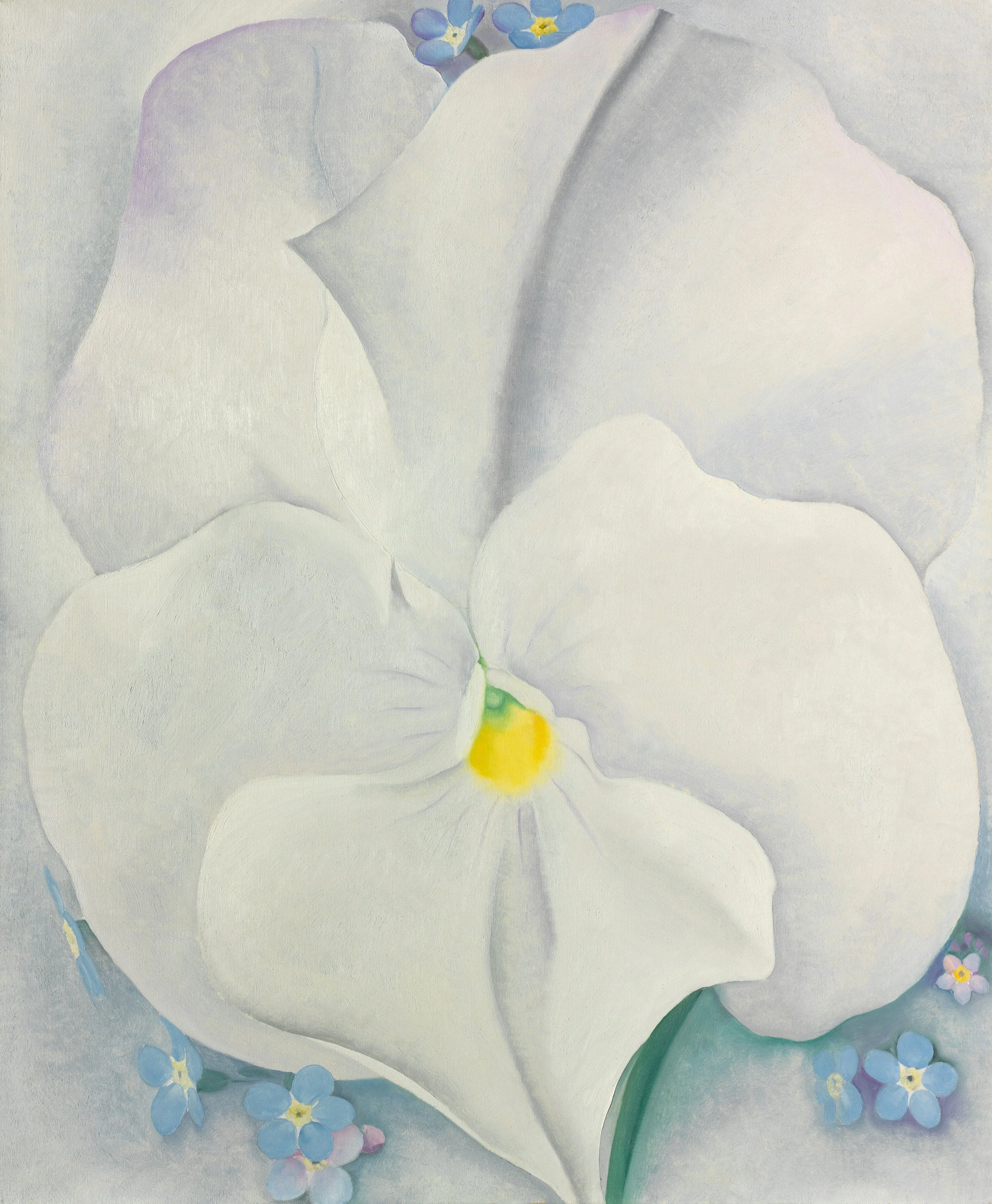 Inner Child Flower Essence Primrose Pansy.jpg
