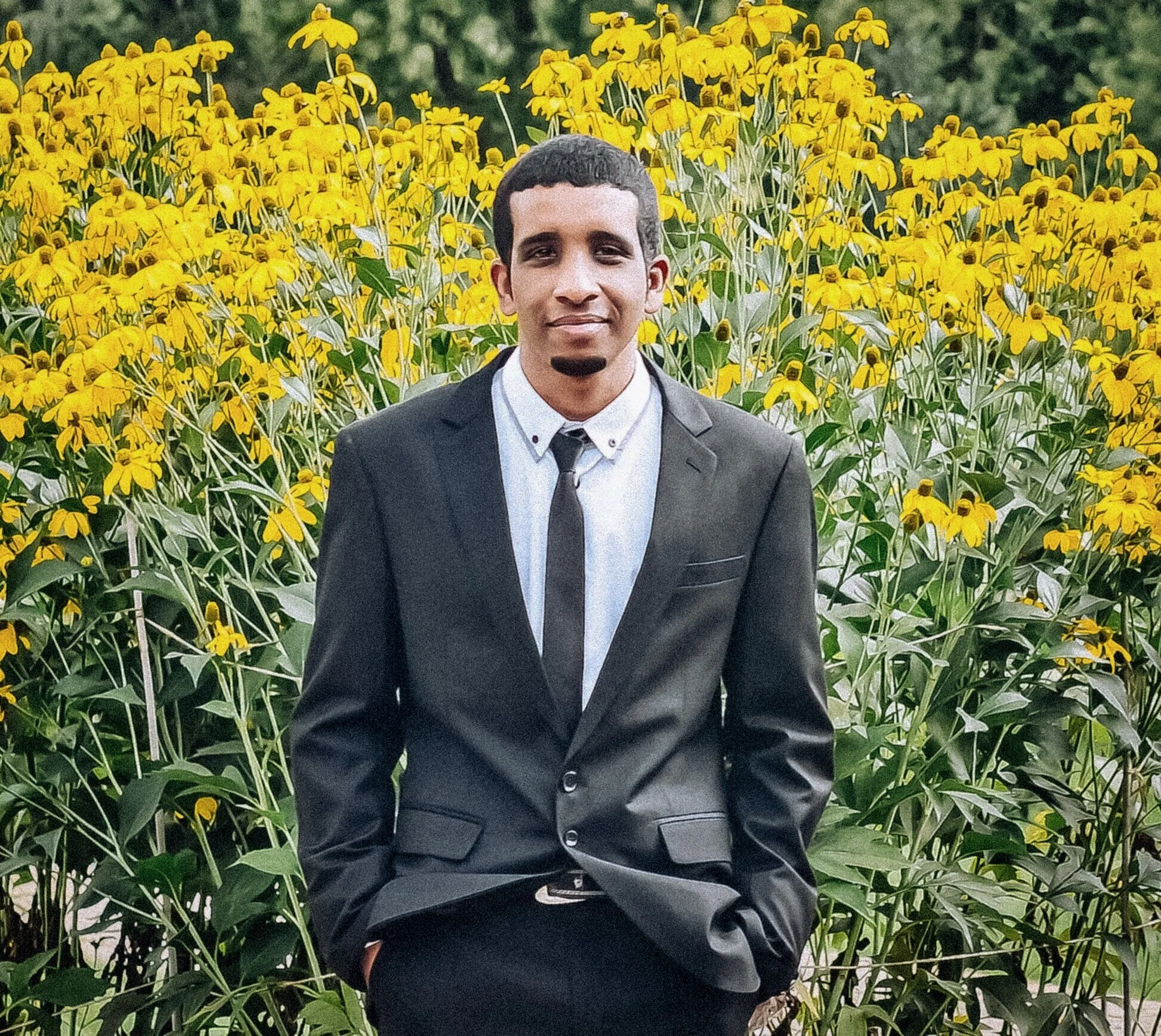 Malcolm Gross Rose Garden, Allentown, Pennsylvania