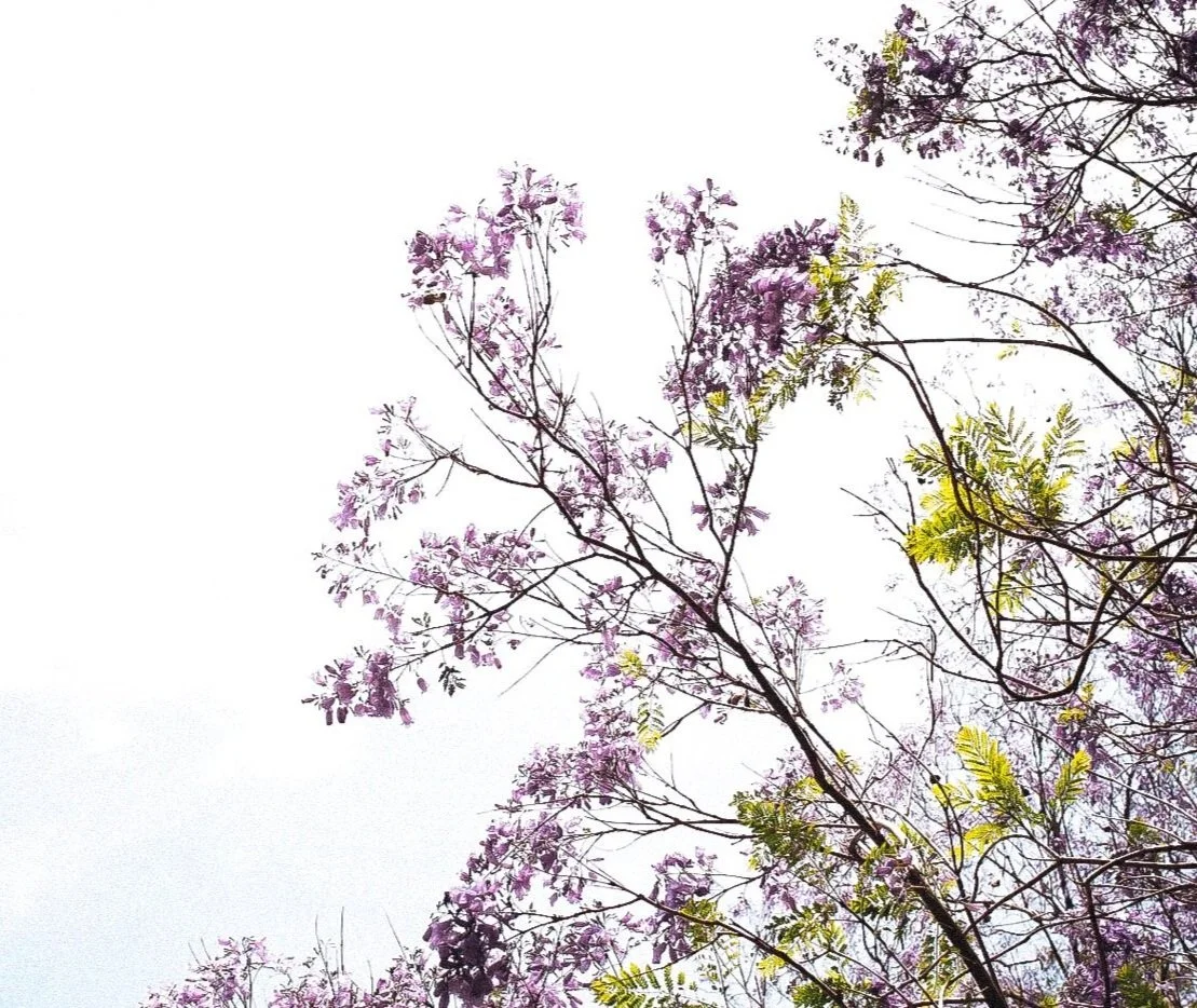 Untermyer Park and Gardens, Yonkers, NY