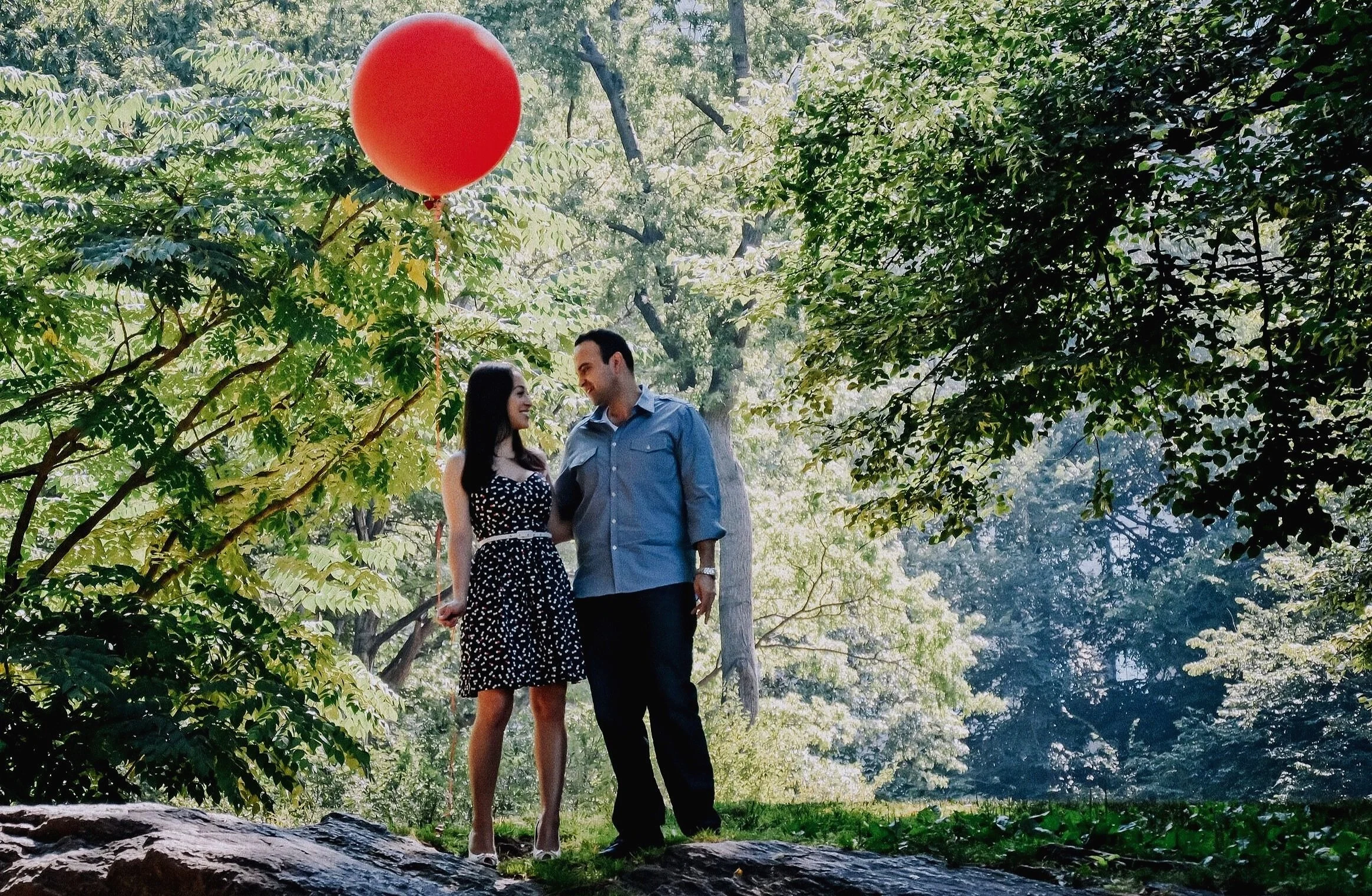 Engagement in Central Park, New York, NY