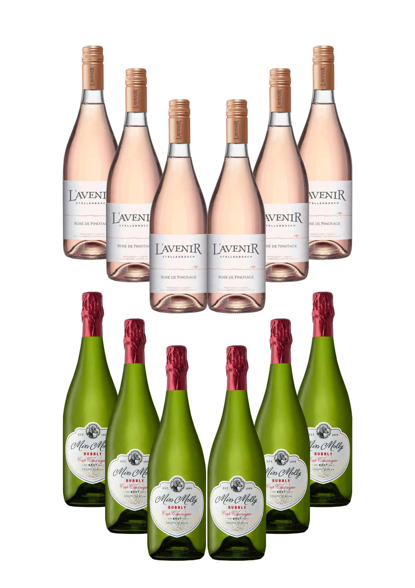 L'Avenir Single Block Pinotage 2013 — Wine Impala South African