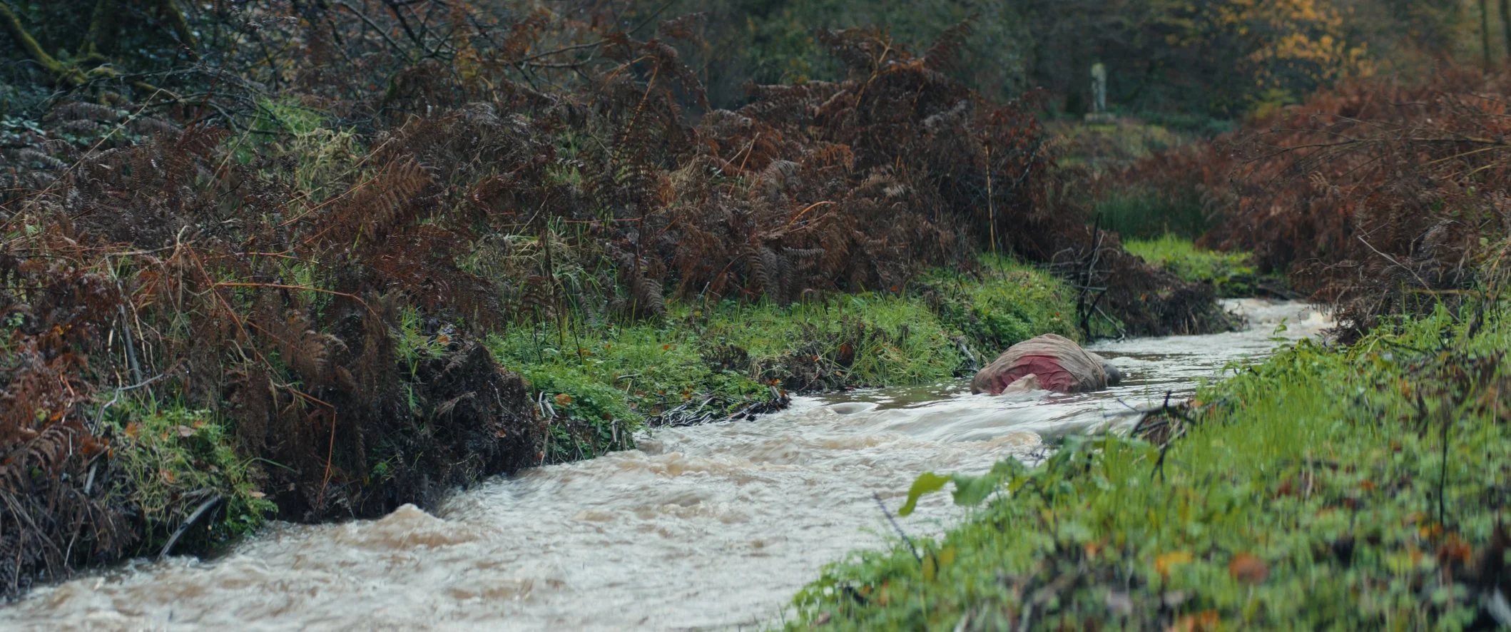 Still 2024-11-21 143925_1.6.3.jpg