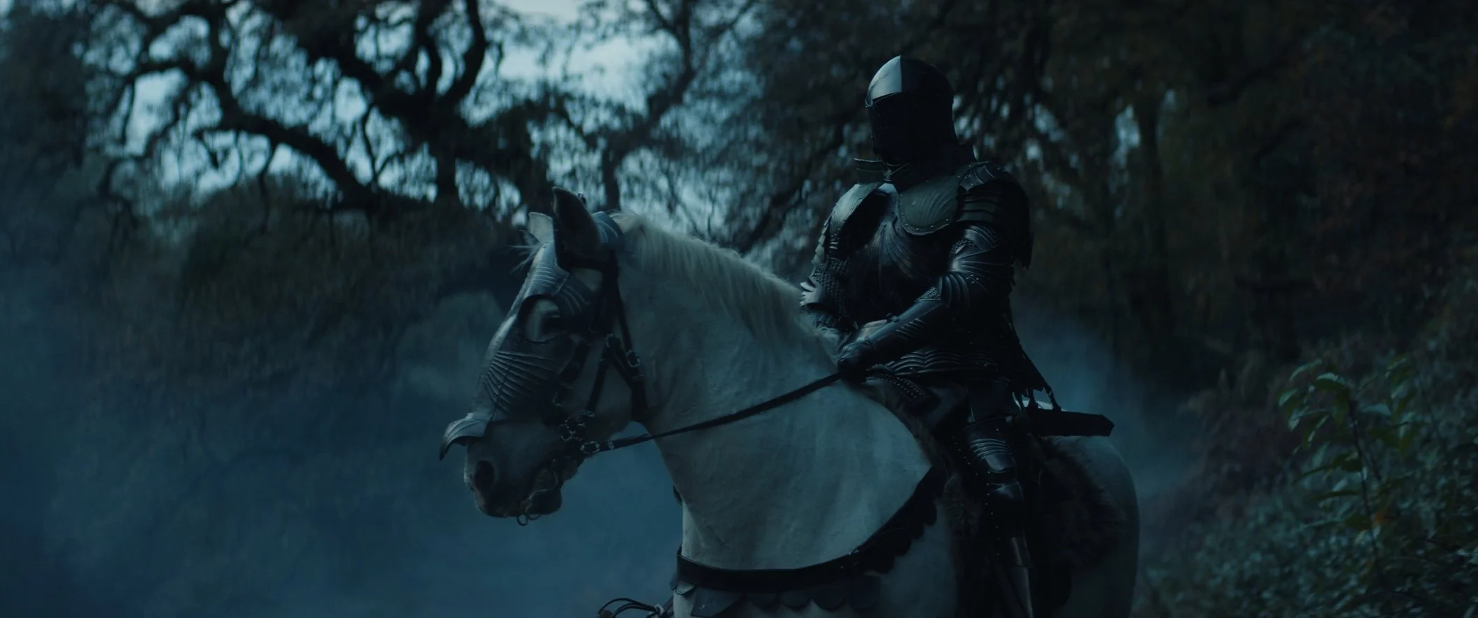 Still 2024-11-22 153228_1.3.4.jpg