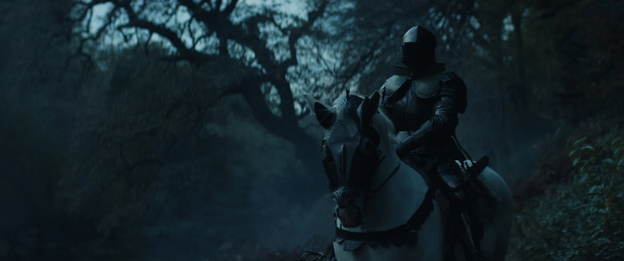 Still 2024-11-22 153228_1.3.10.jpg