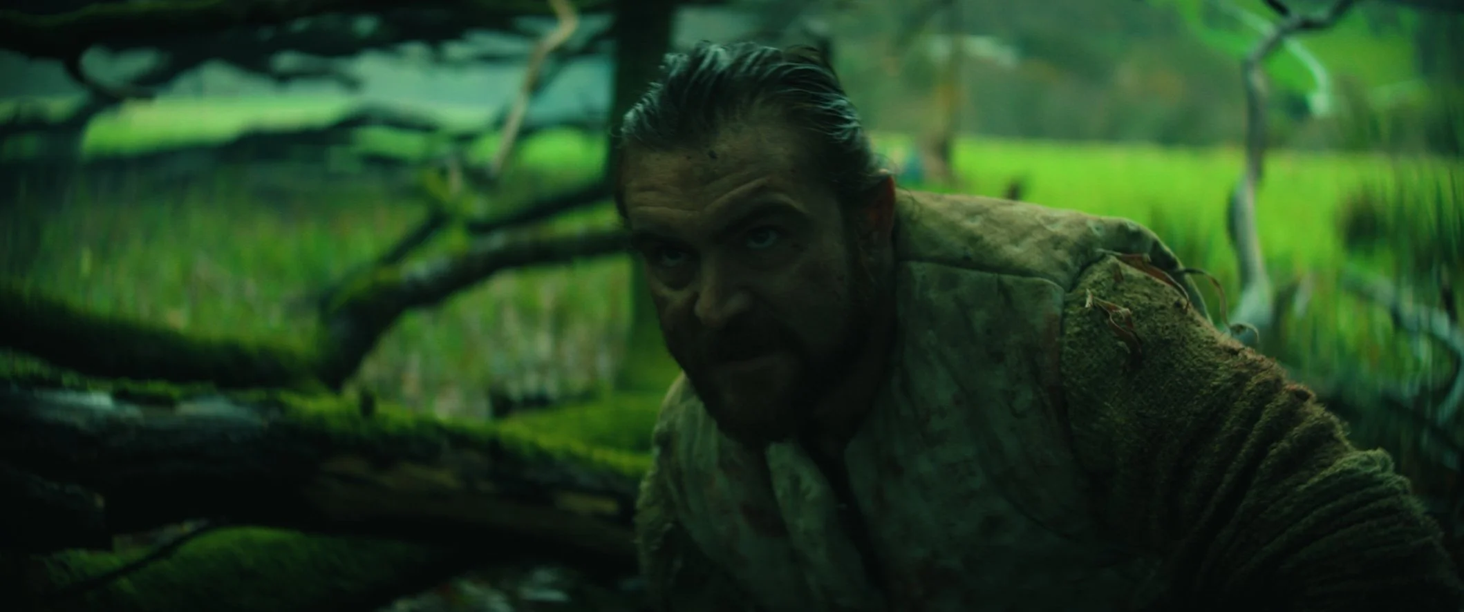 Still 2024-11-24 162455_1.7.14.jpg