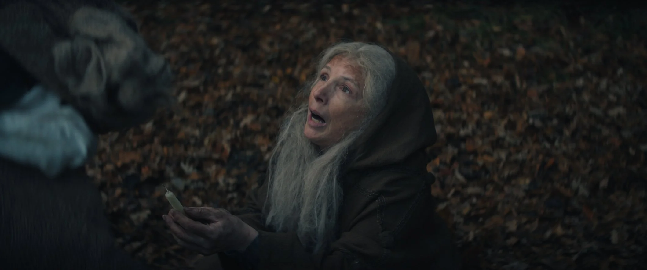 Still 2024-11-25 215831_1.2.14.jpg