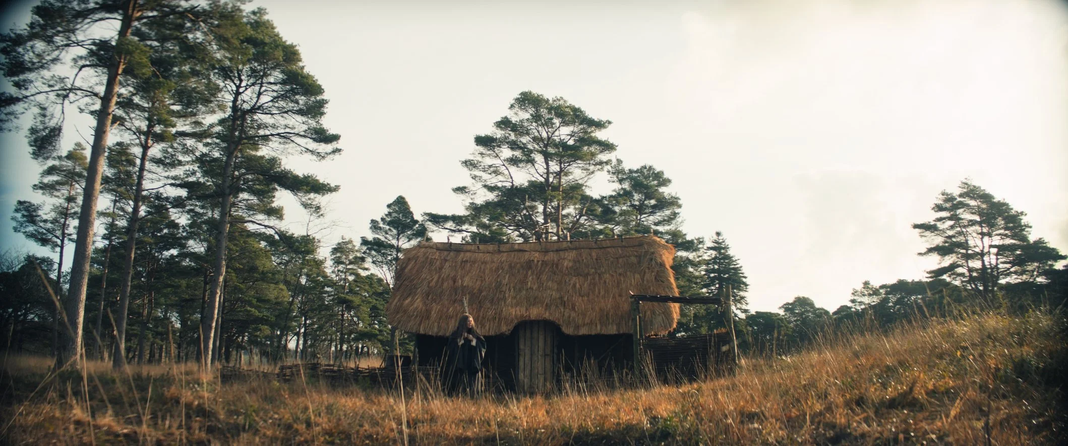 Still 2024-11-26 213210_1.5.7.jpg