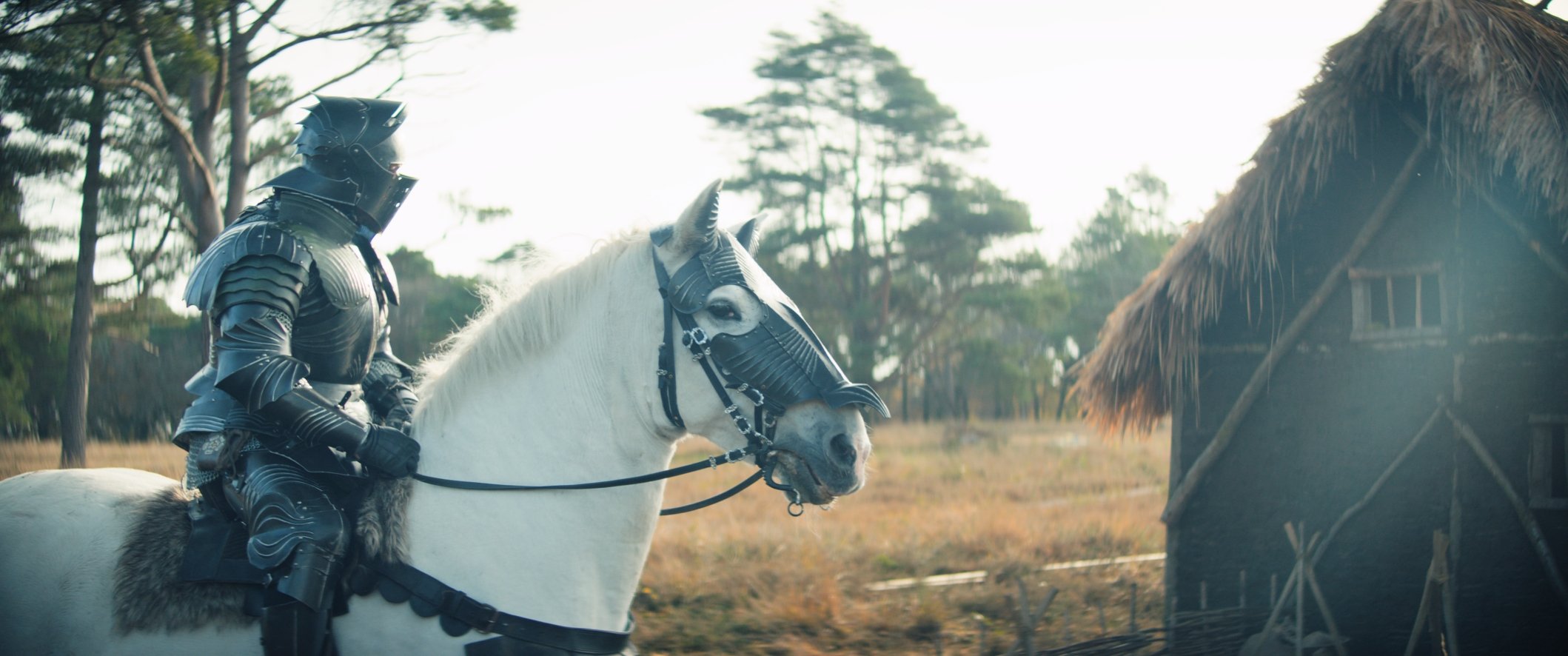 Still 2024-11-29 234735_1.2.1.jpg