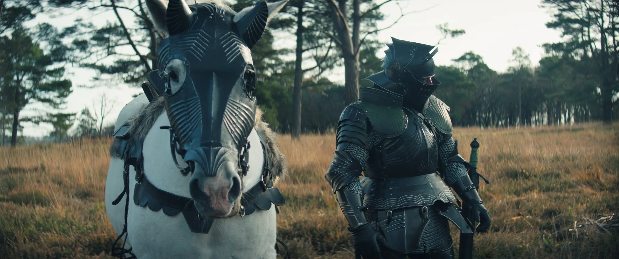 Still 2024-11-29 234735_1.3.6.jpg