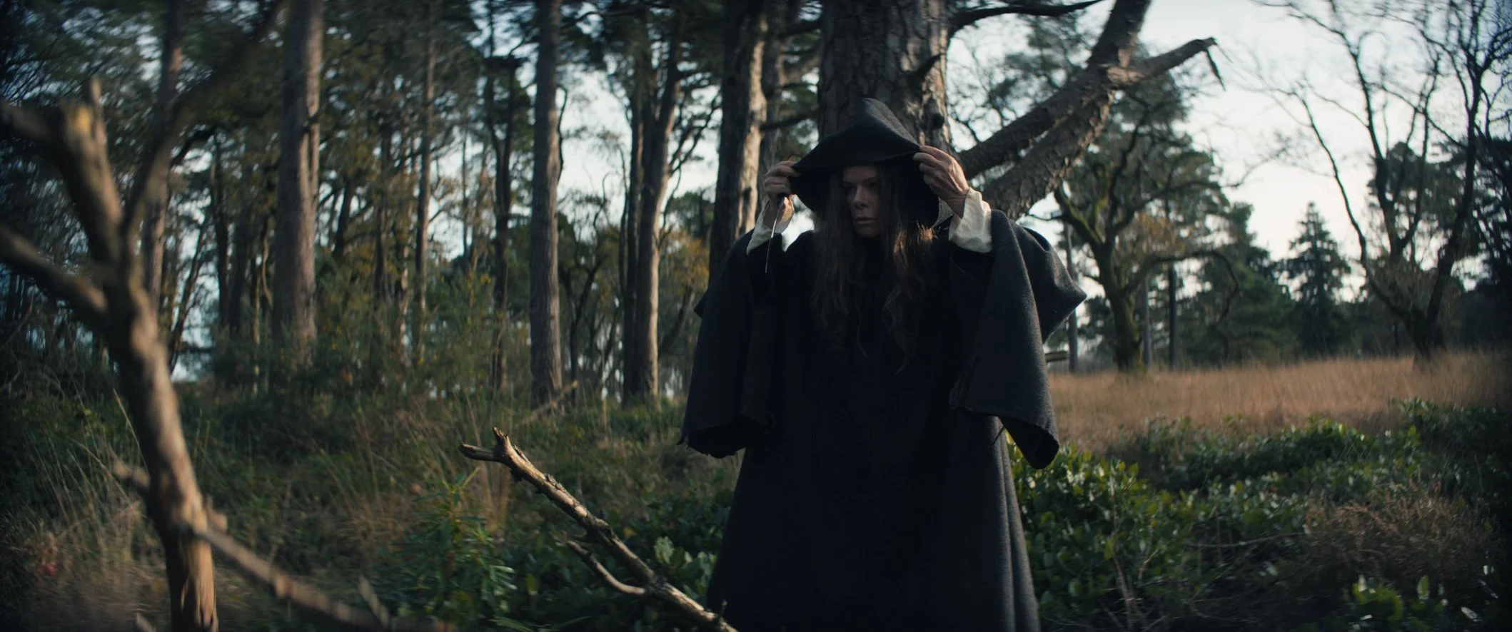 Still 2024-11-29 234748_1.6.3.jpg